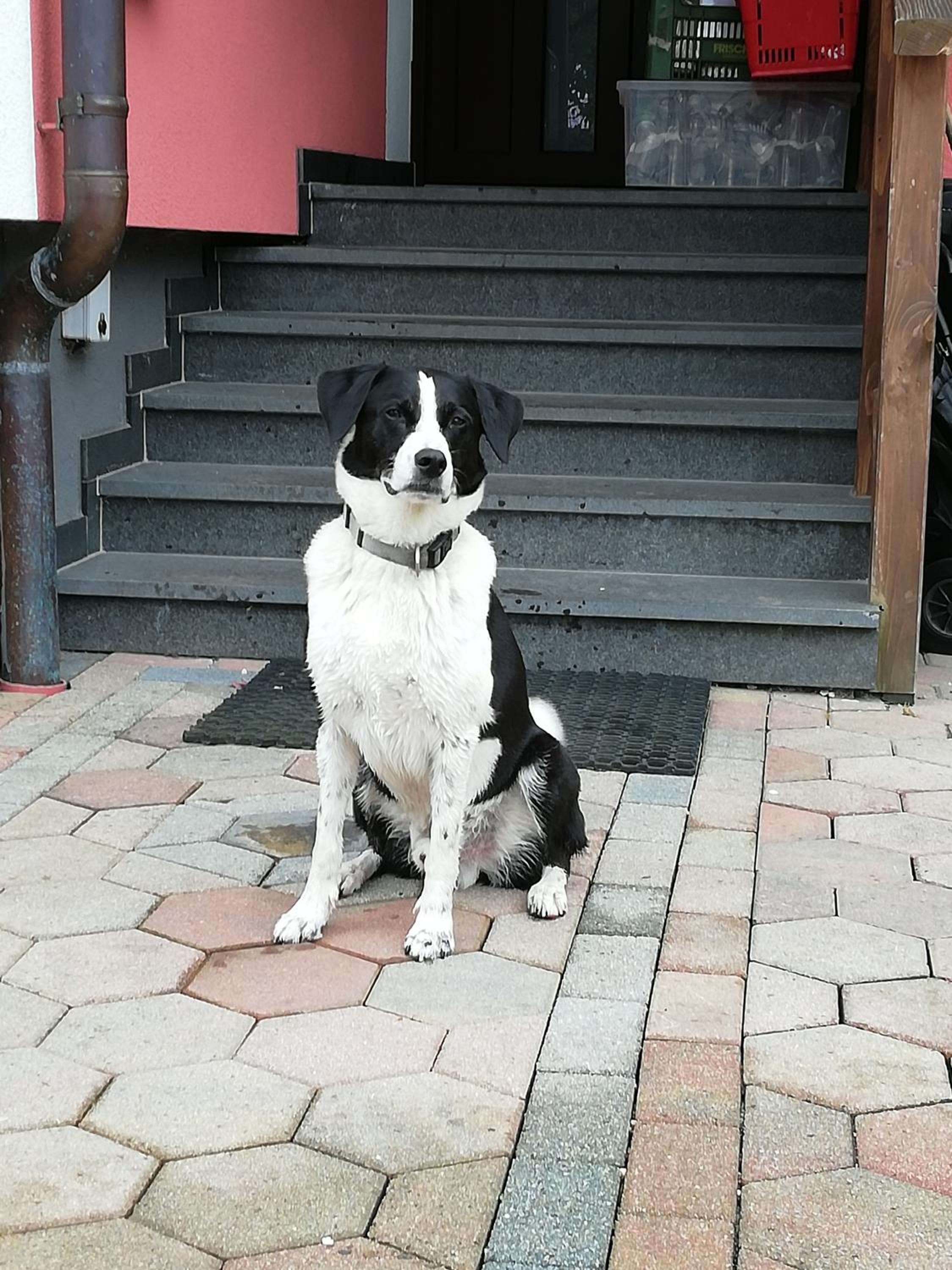 Haus Höll Herta