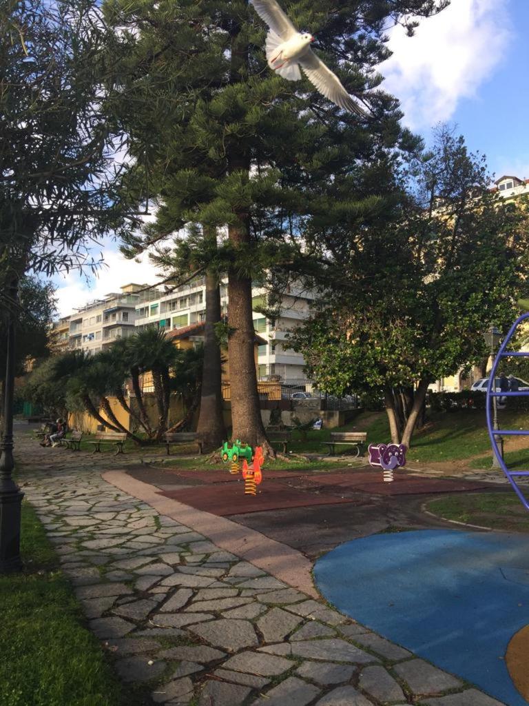 PARVA DOMUS view 5