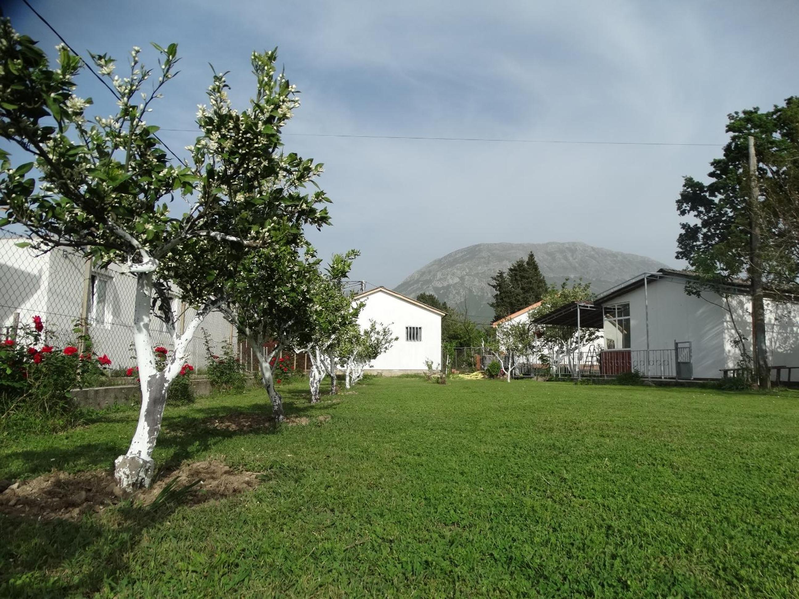 Apartman Zorana