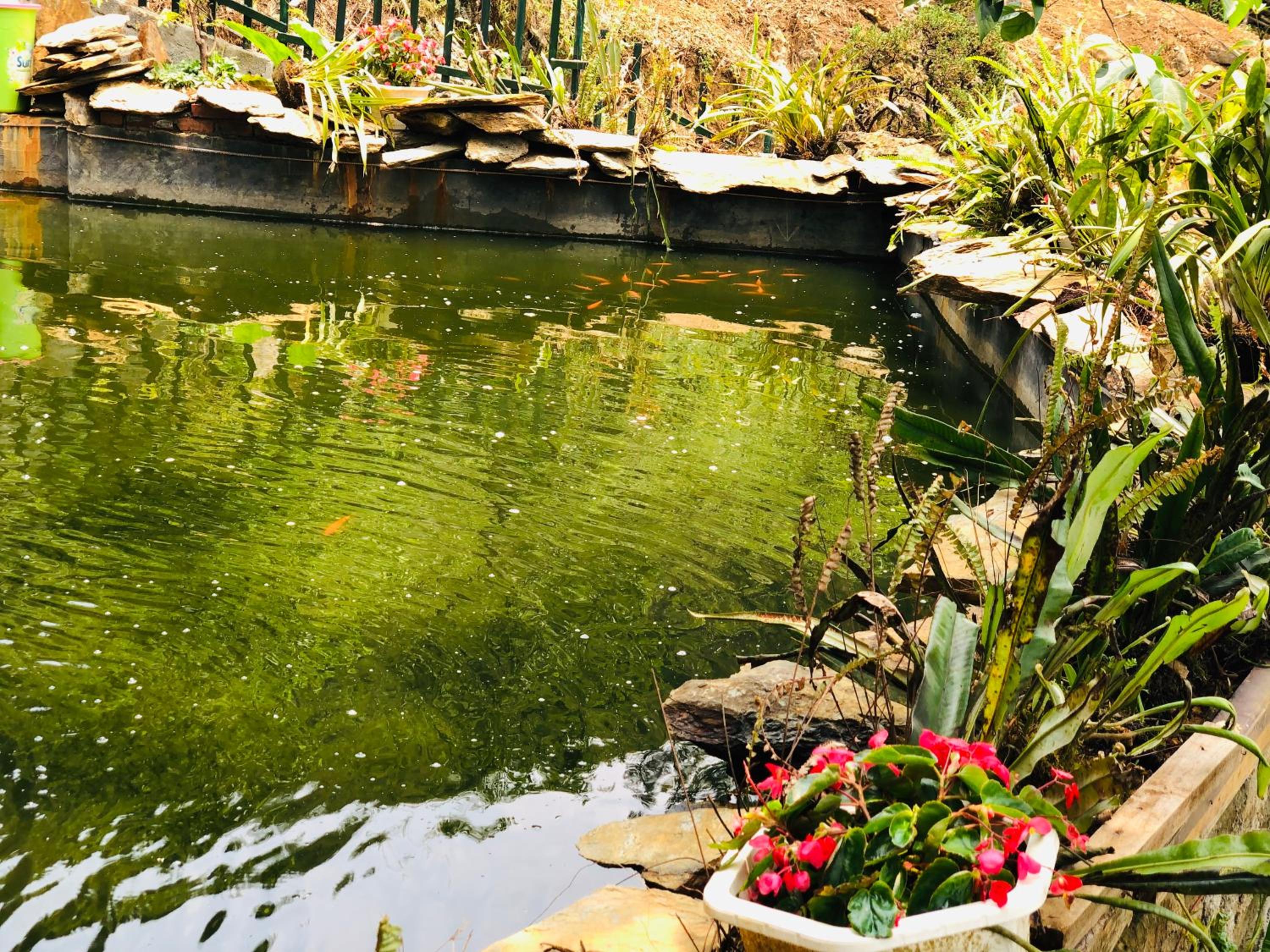 Youth Homestay Sapa view 4
