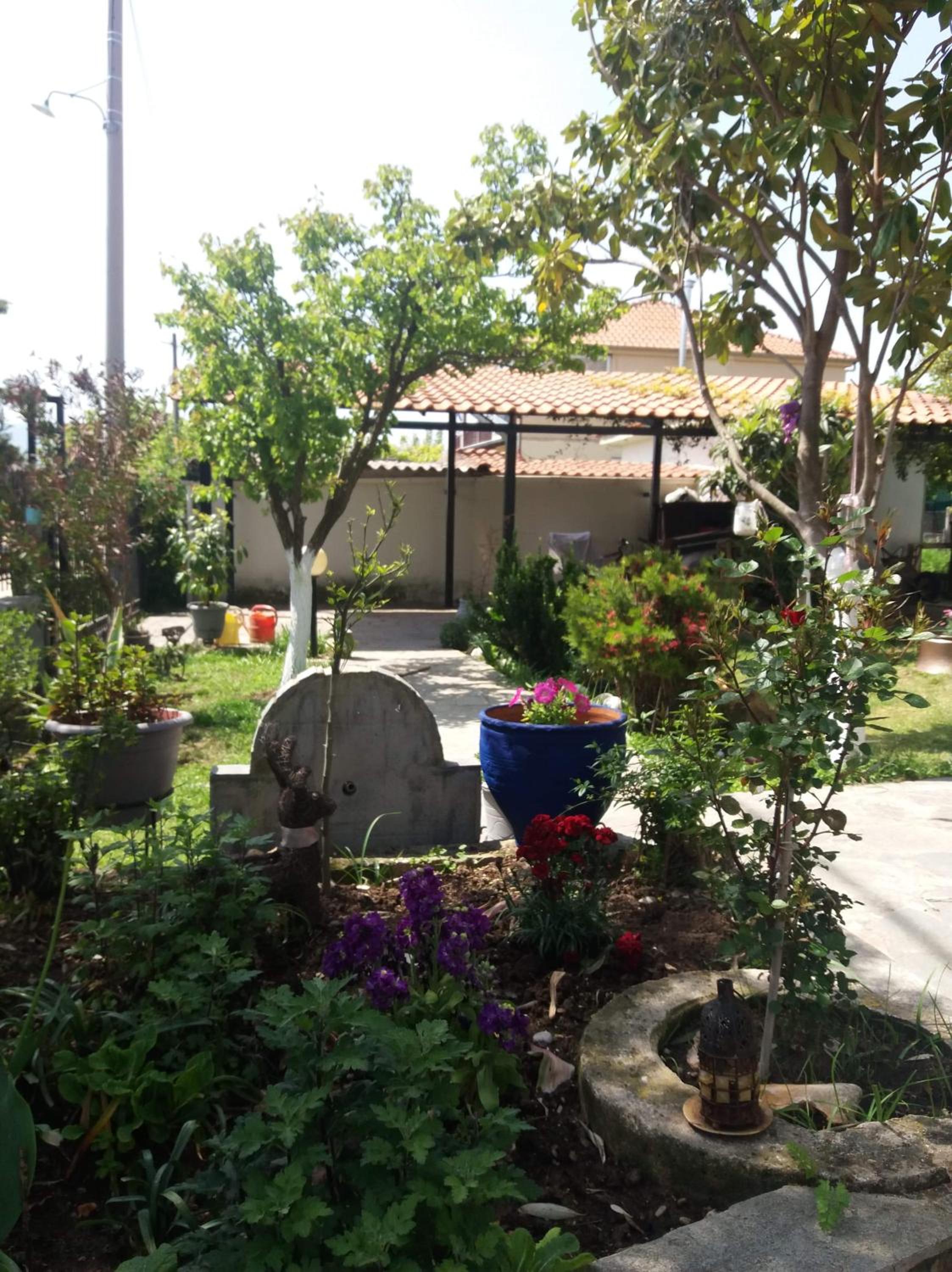 Photo 34