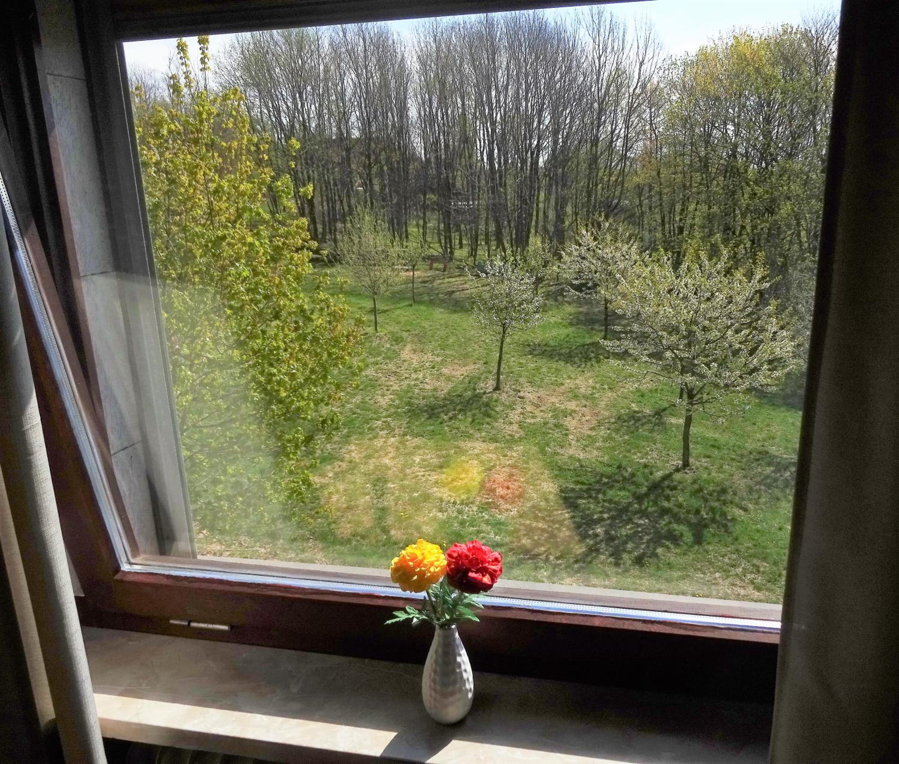 Ferienwohnung Schneemann