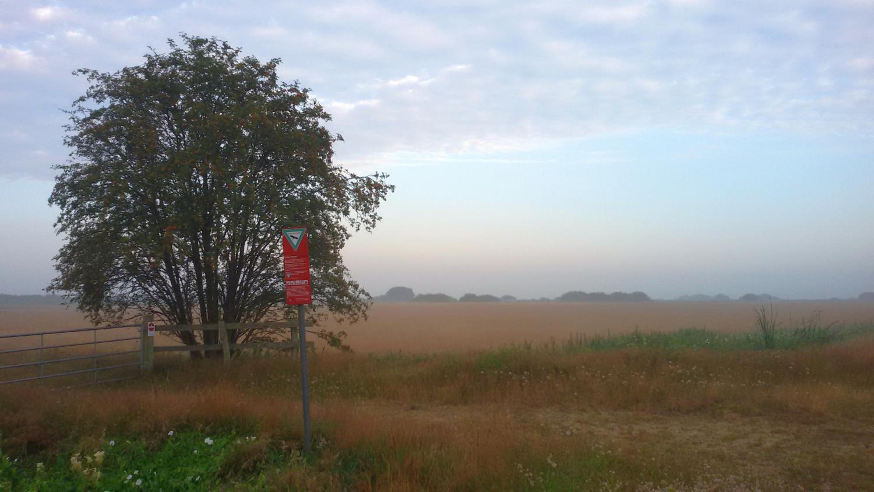 Atelierhaus Tannenweg, photo 14