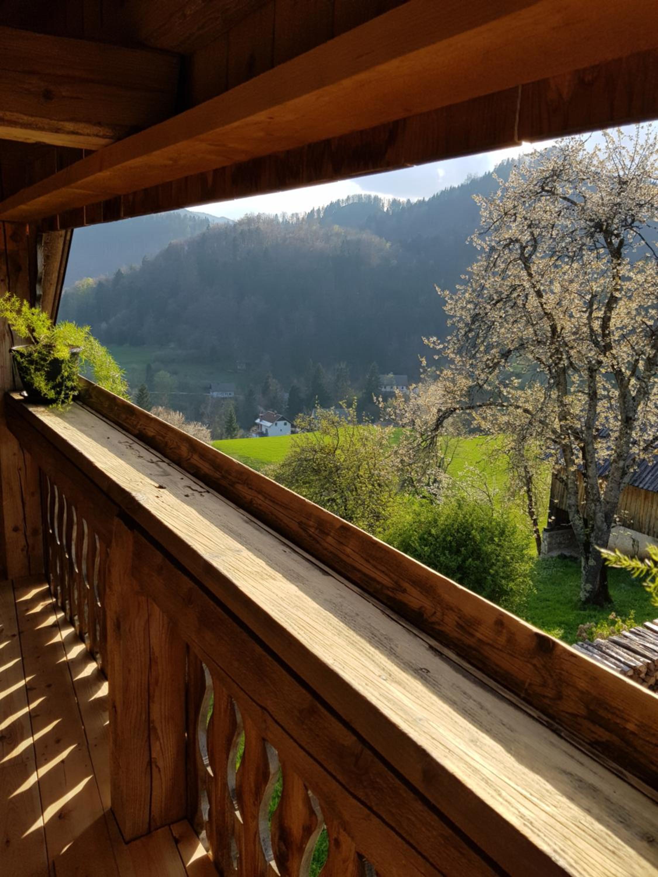 Apartment Krnicar