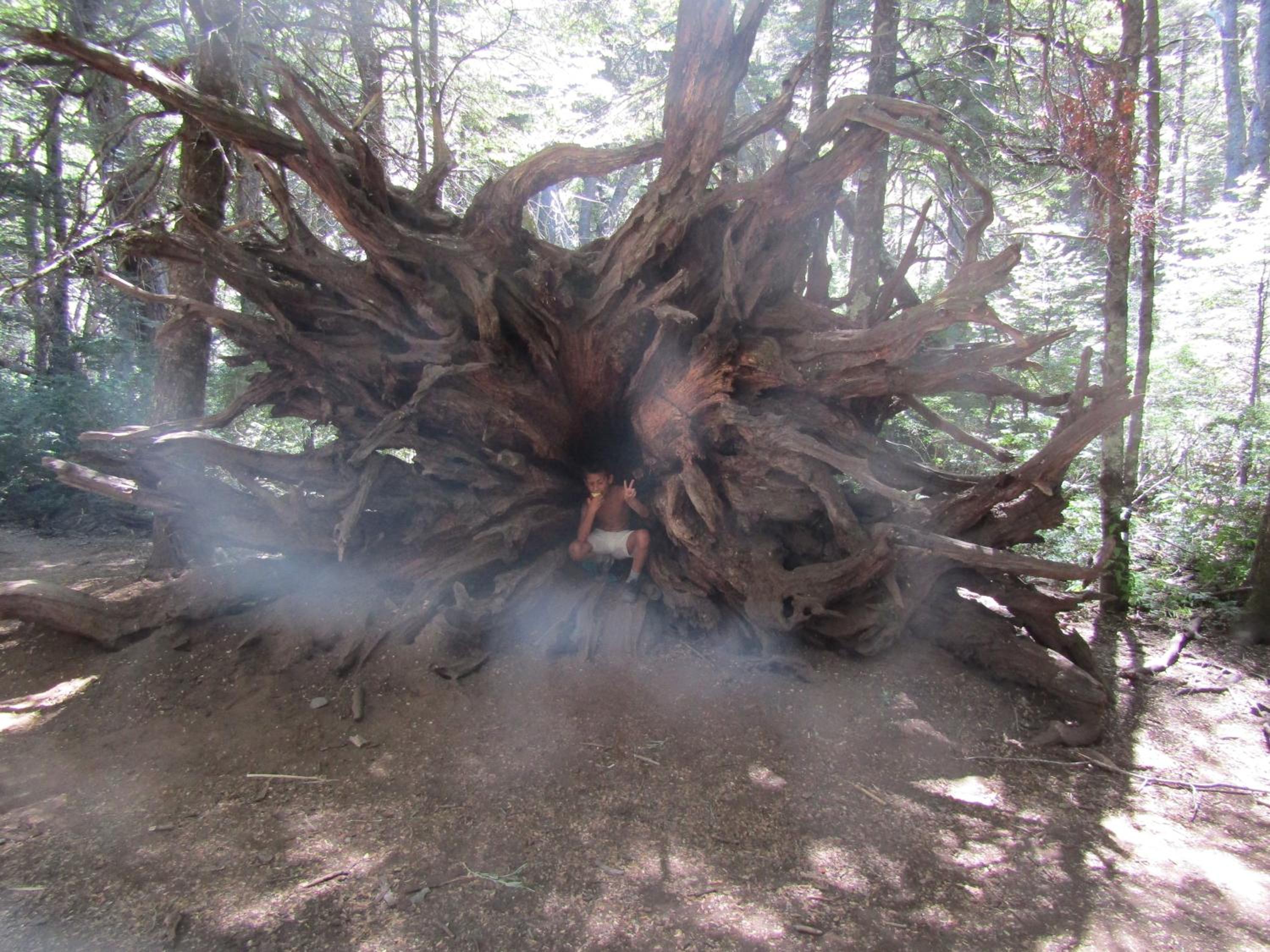Photo 40
