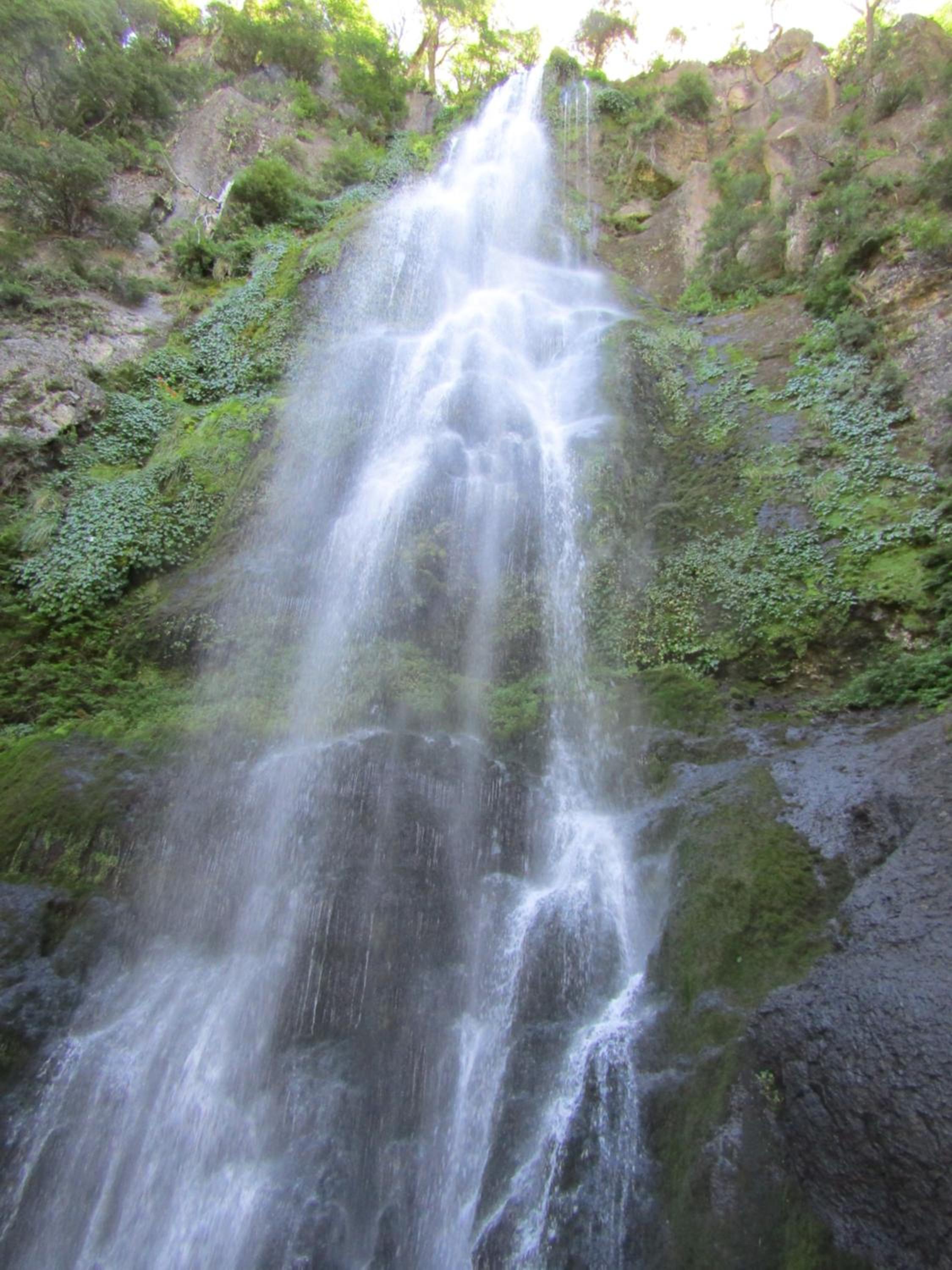 Photo 36