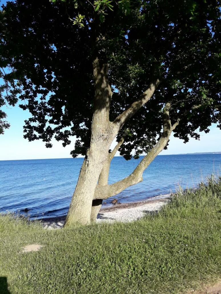 Ur b a n ' s Ferienhaus im Ostseebad D a m p