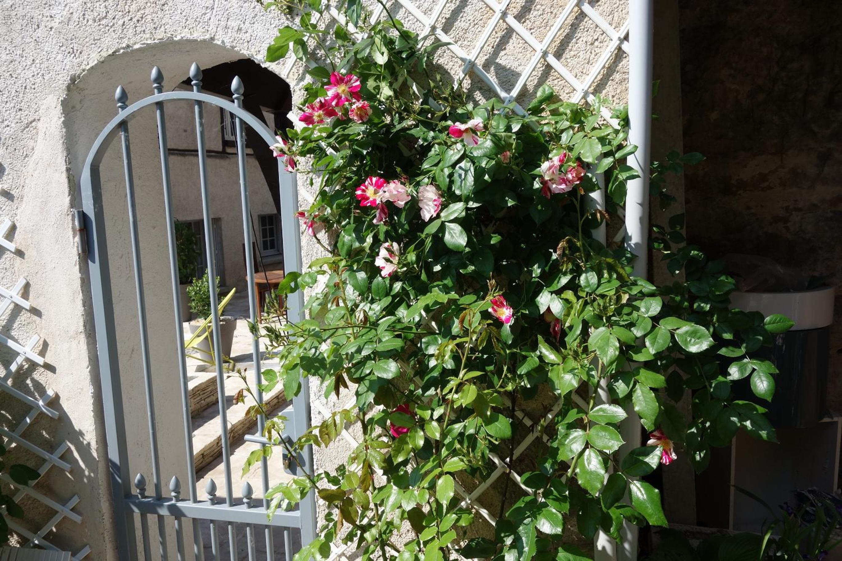 Photo 19