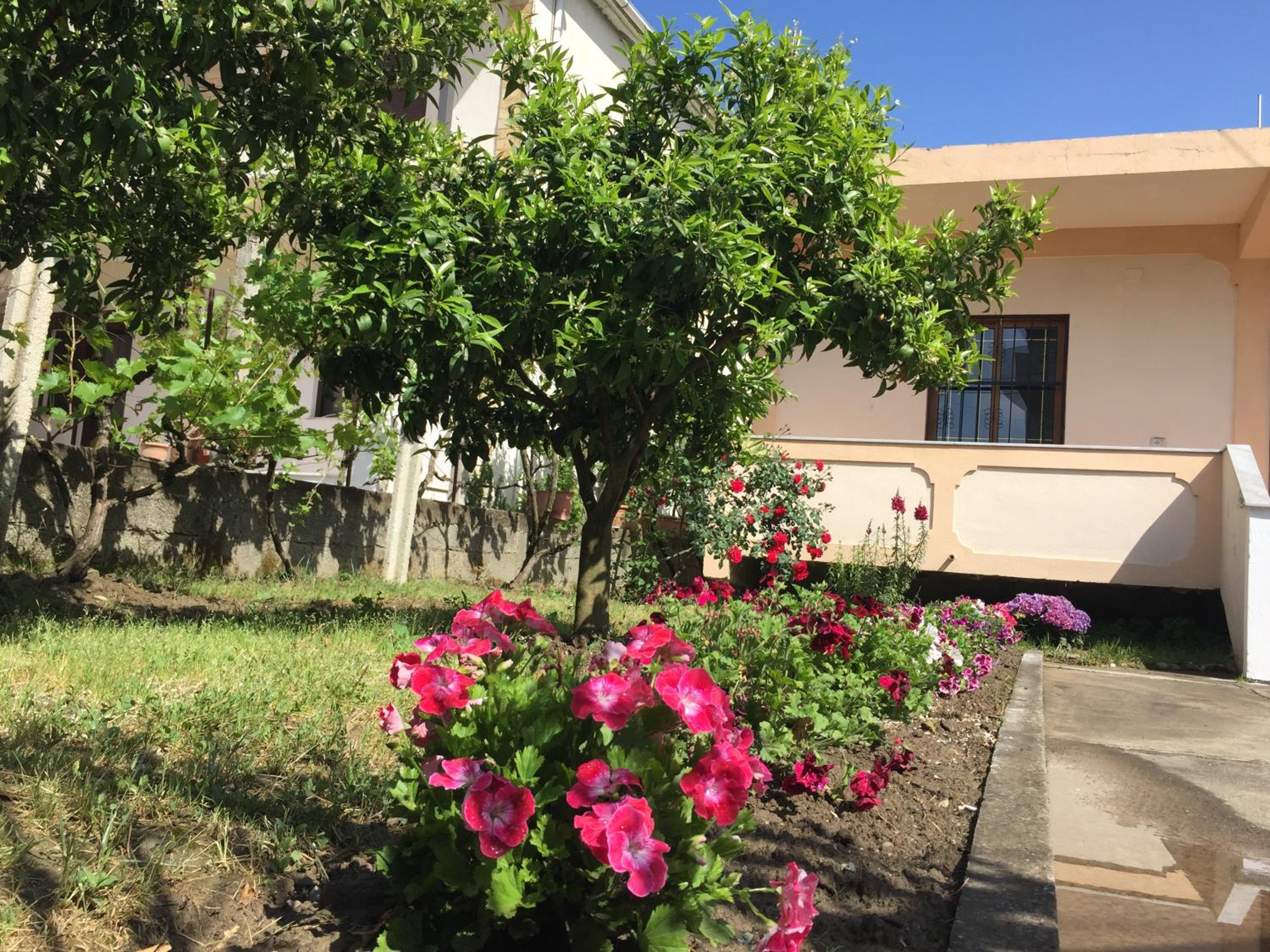 Villa Ajla