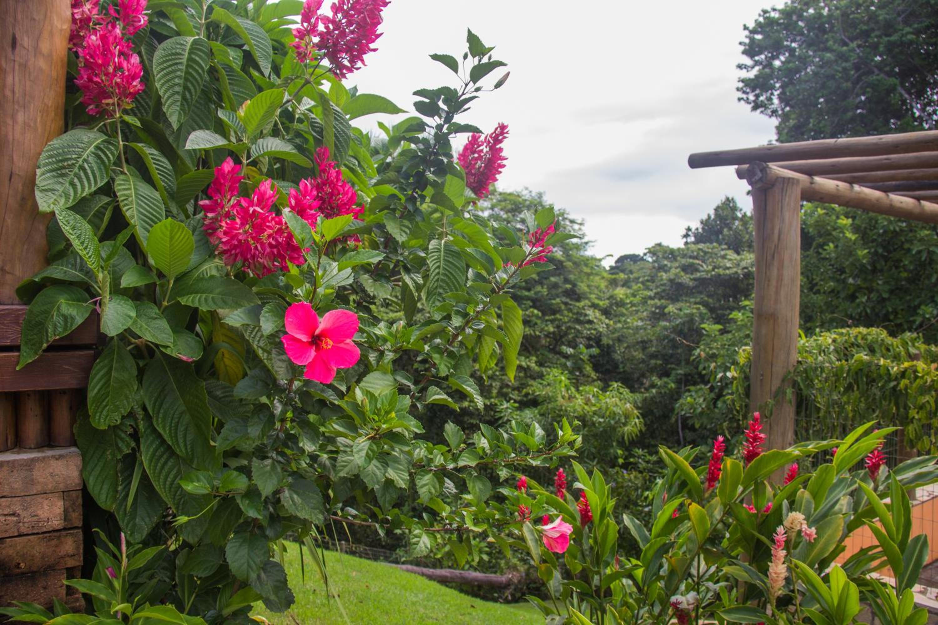Linda casa em Itacaré Bahia