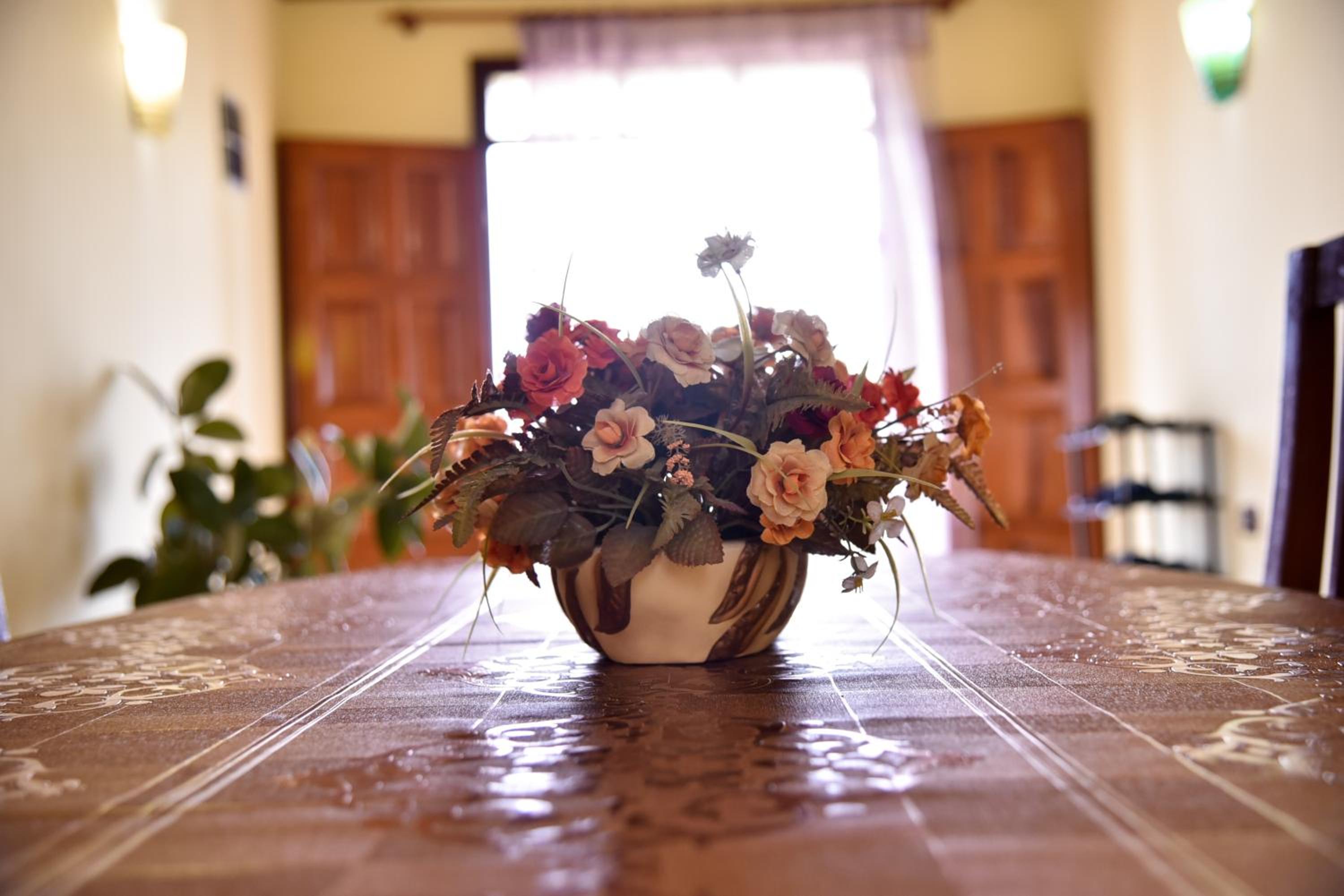 Villa Garden Shkodra