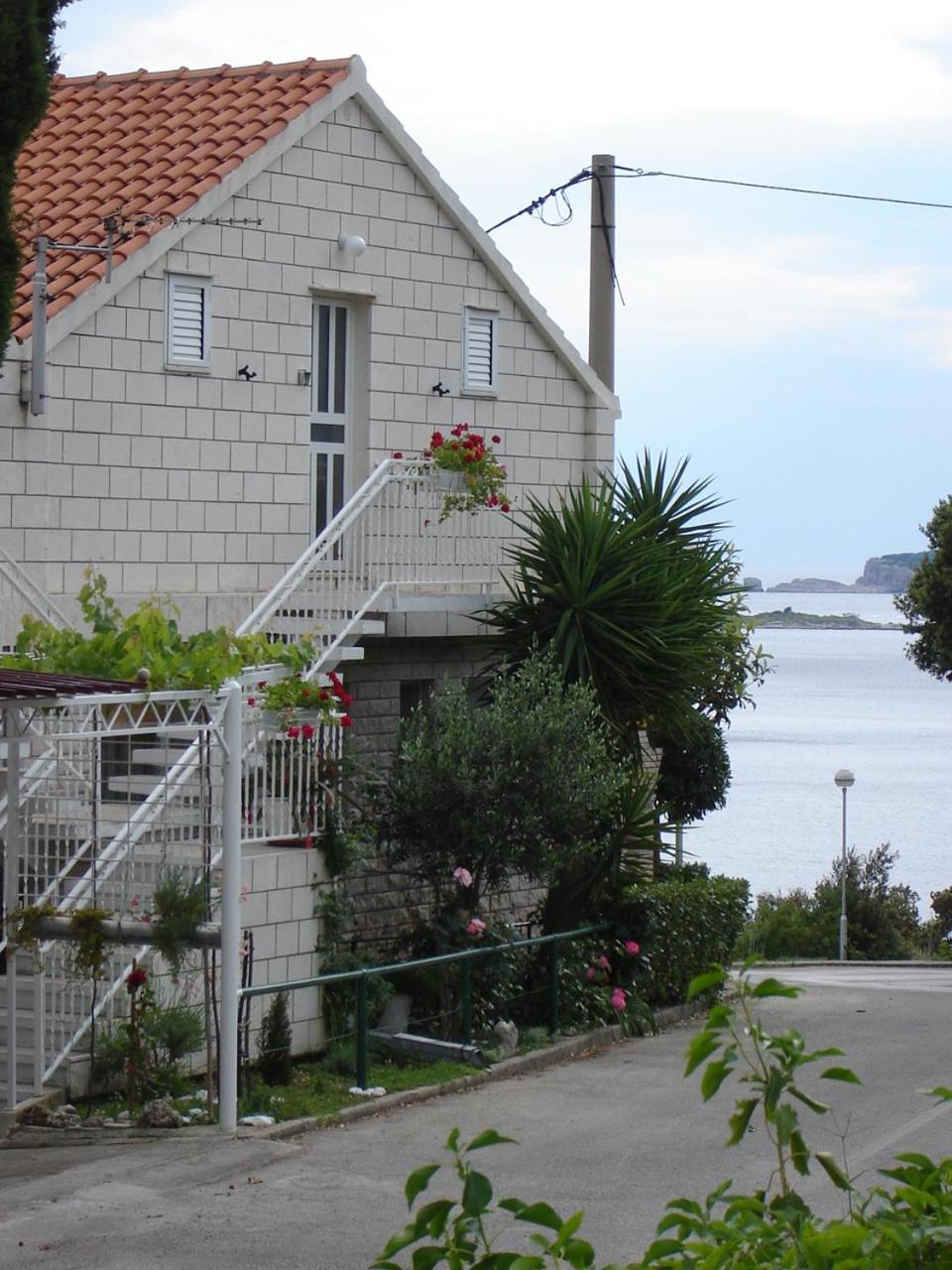 Photo 43