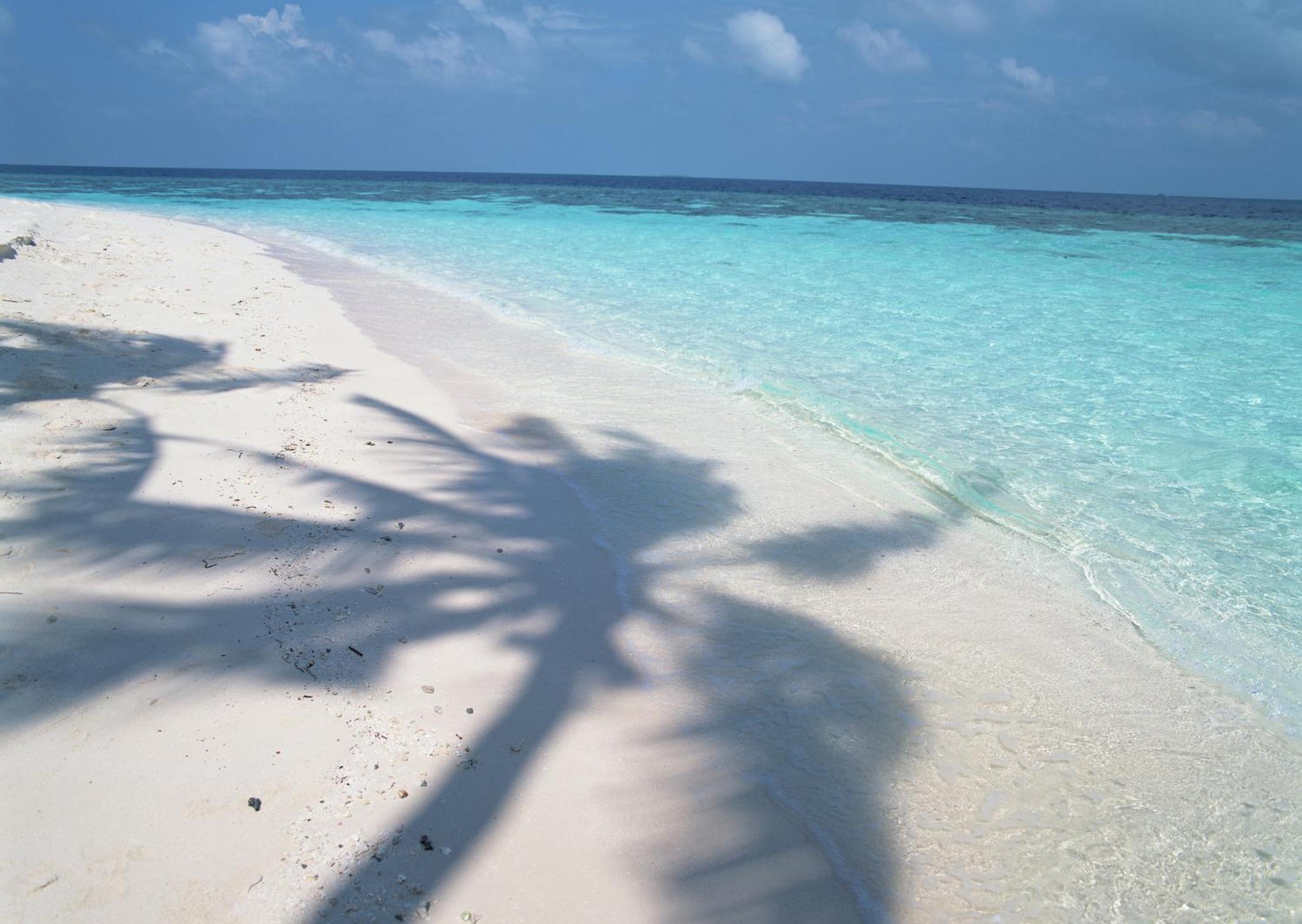 Petit Resort Native Sea Amami
