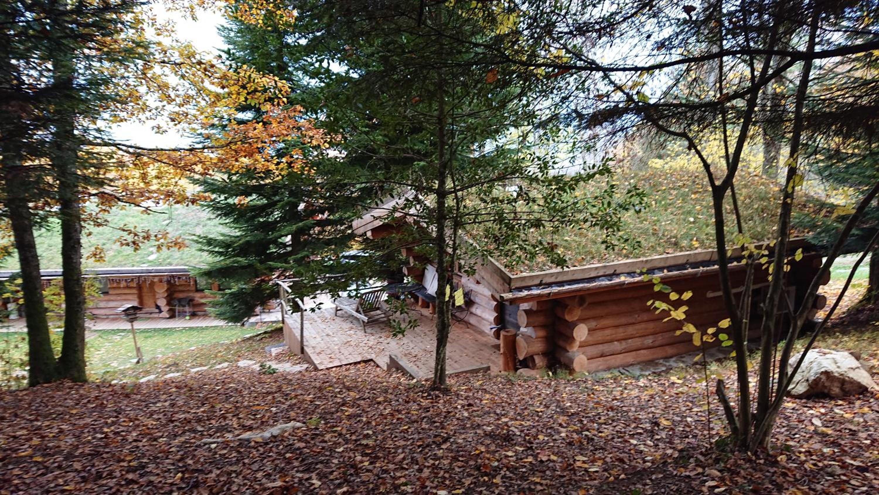 Photo 46