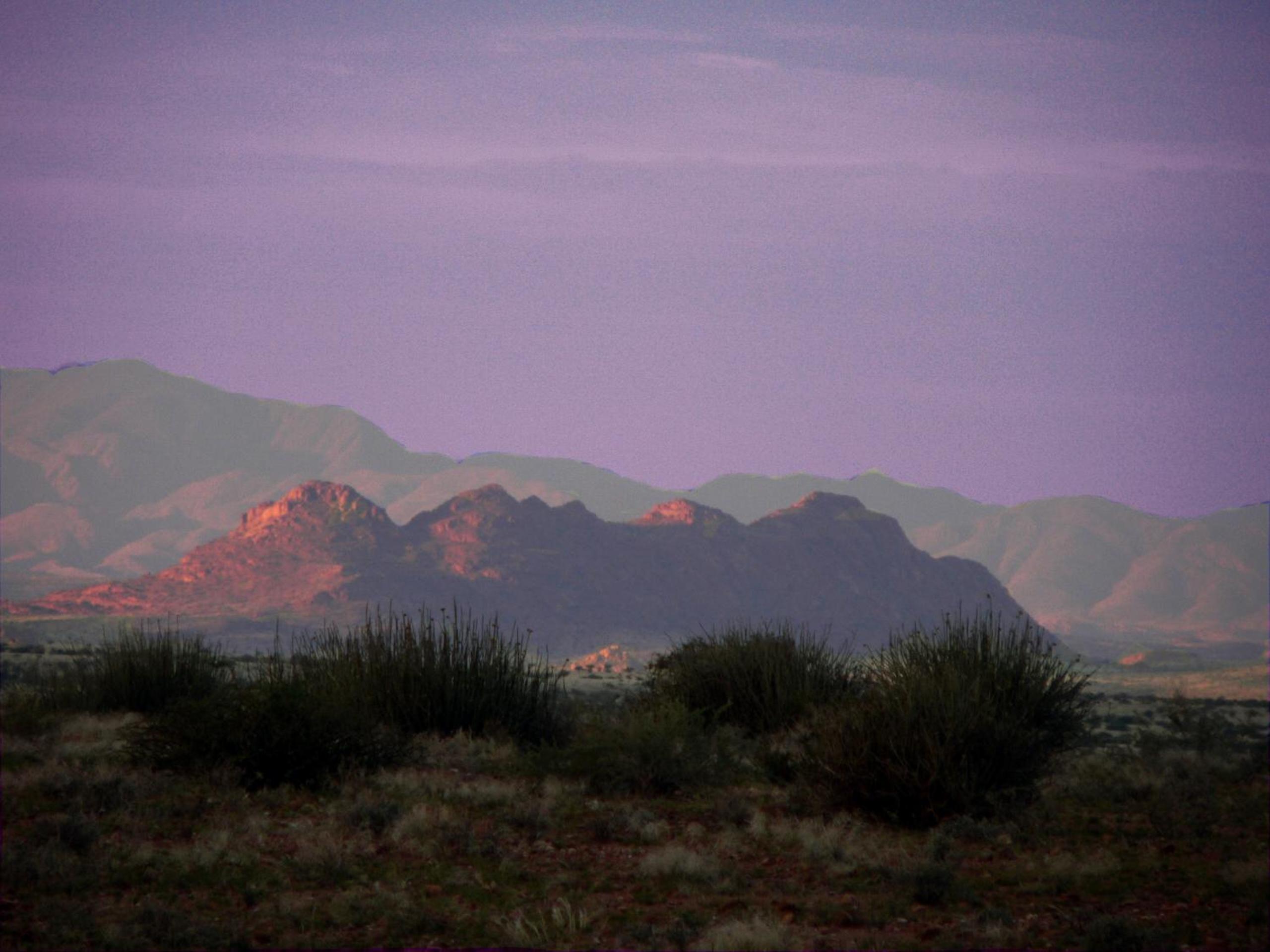 Photo 25