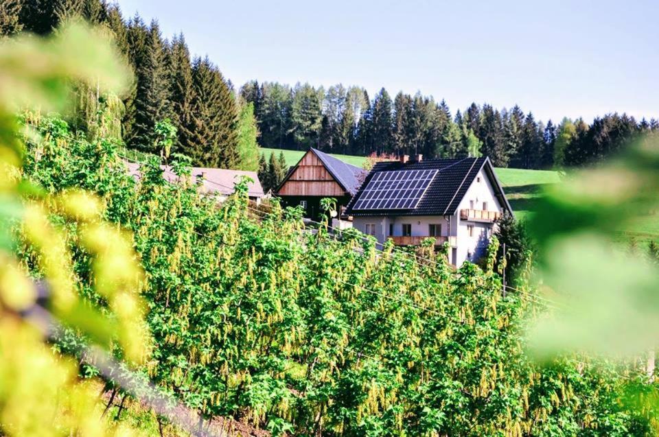 Ferienwohnung Kochs Beeren