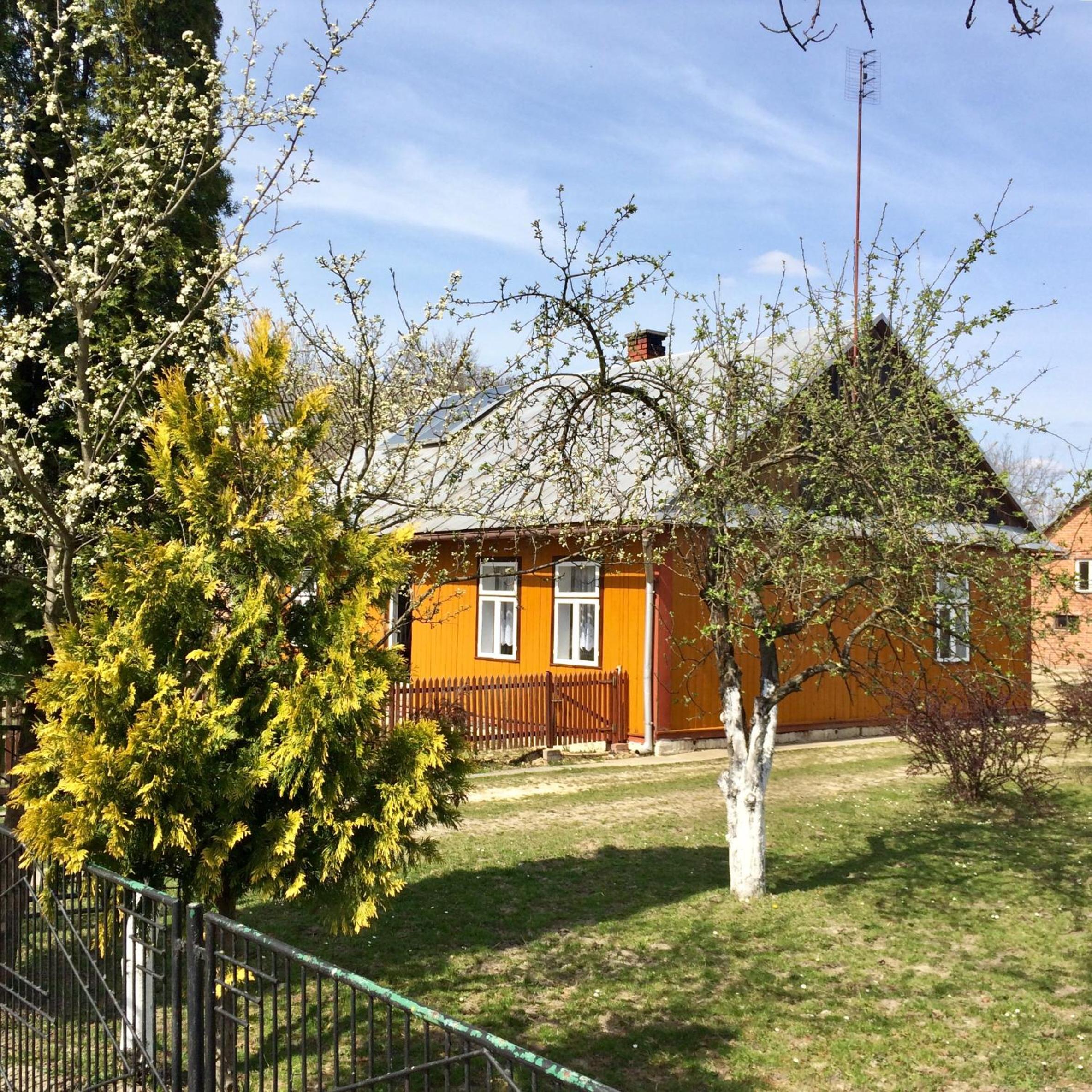 Photo 18