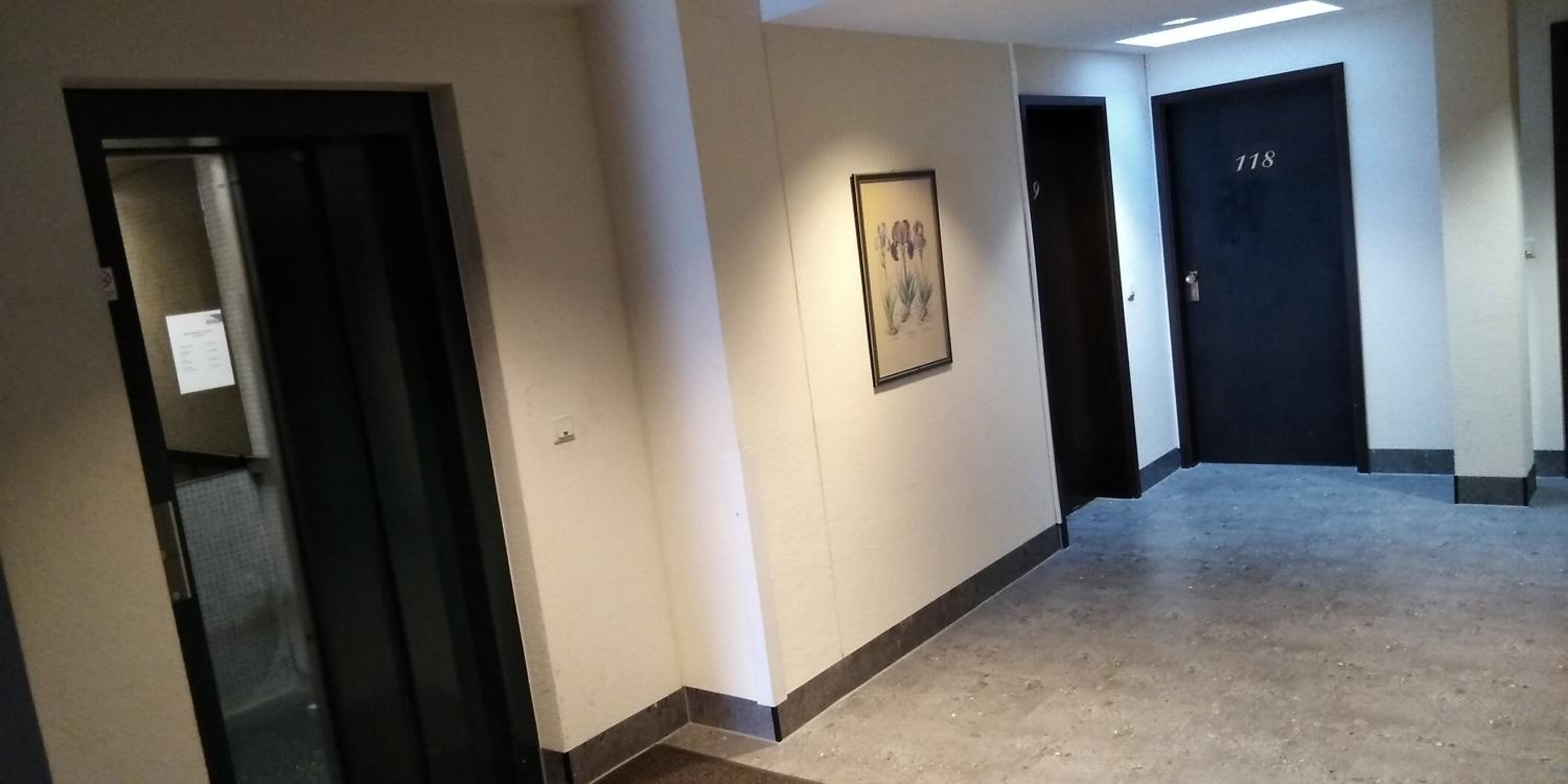 Photo 11