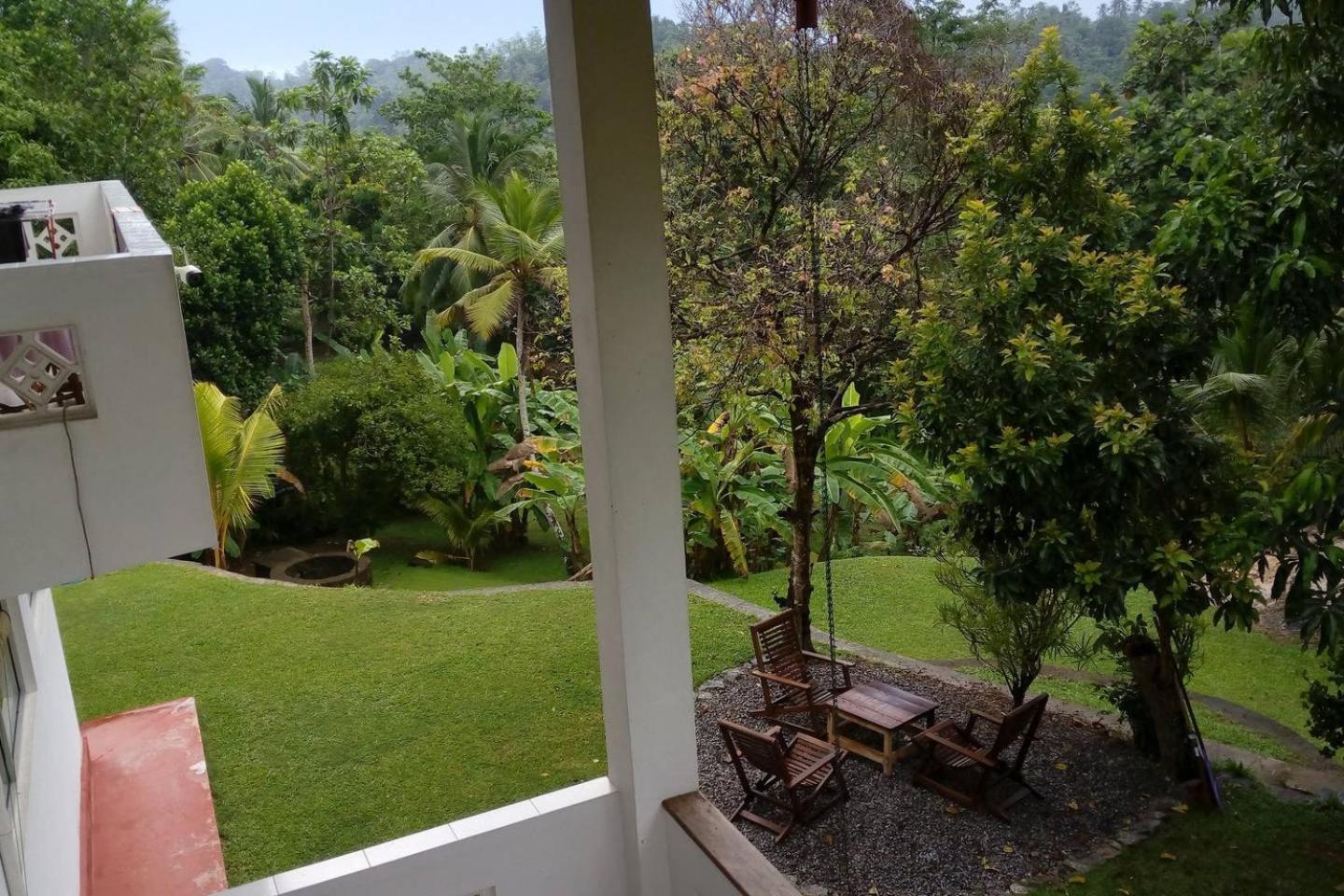 Chirping Birds view 5