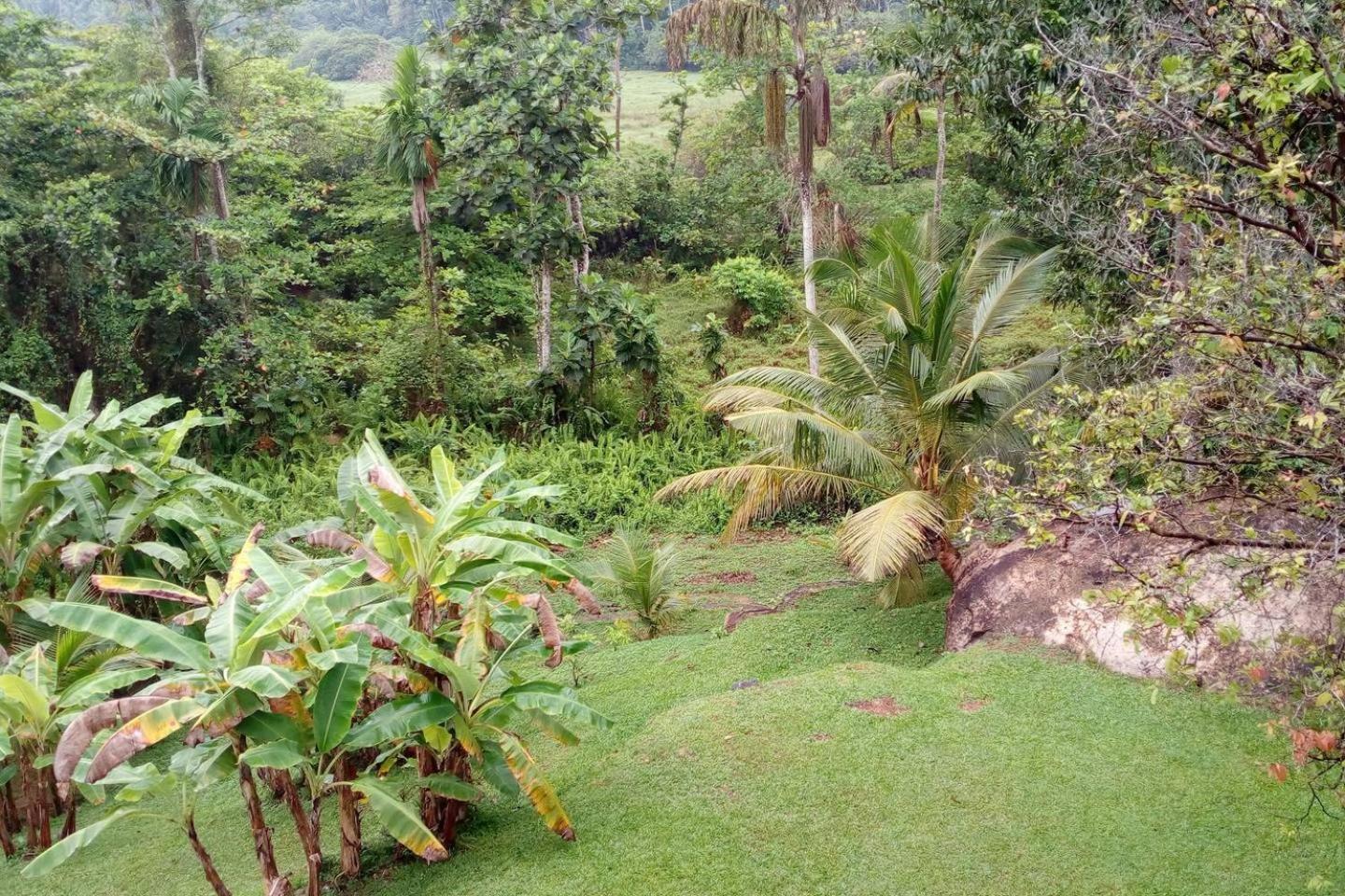 Photo 23