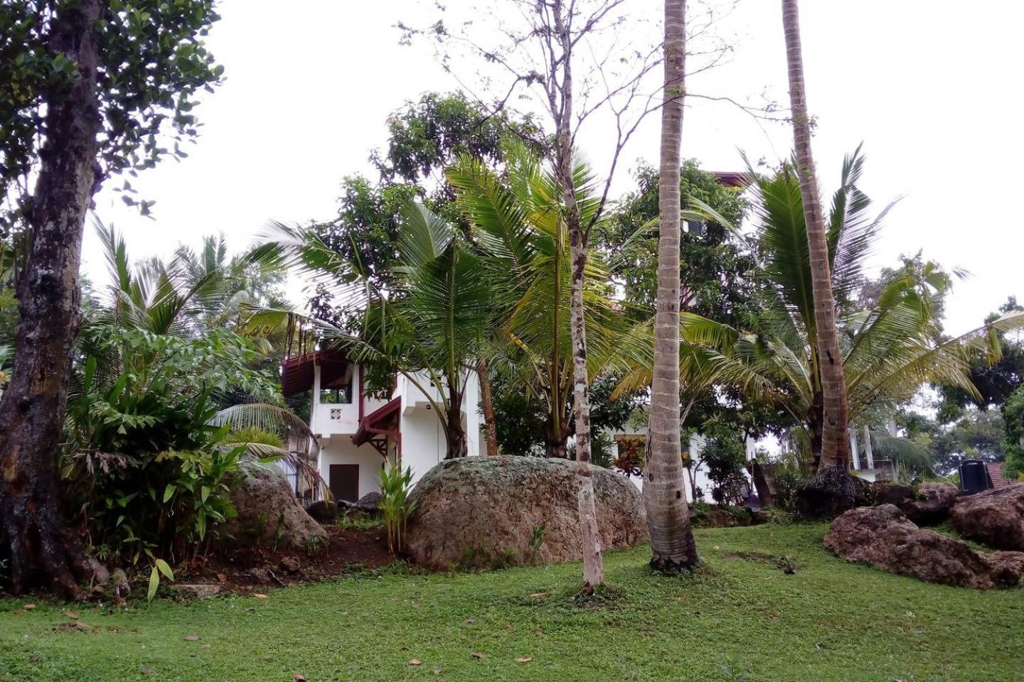 Photo 25