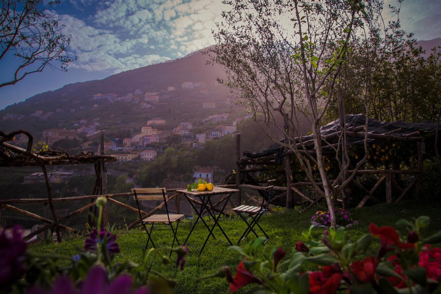 balance & terrace