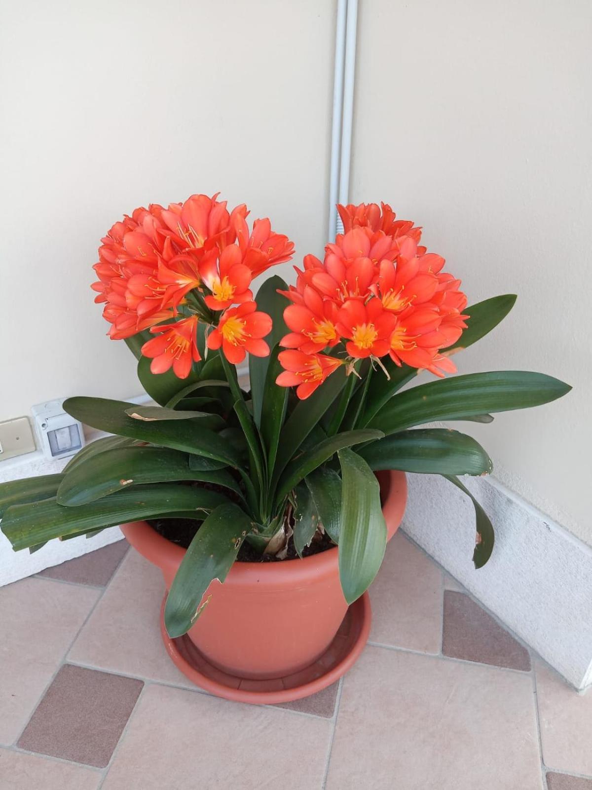 VILLA MERY