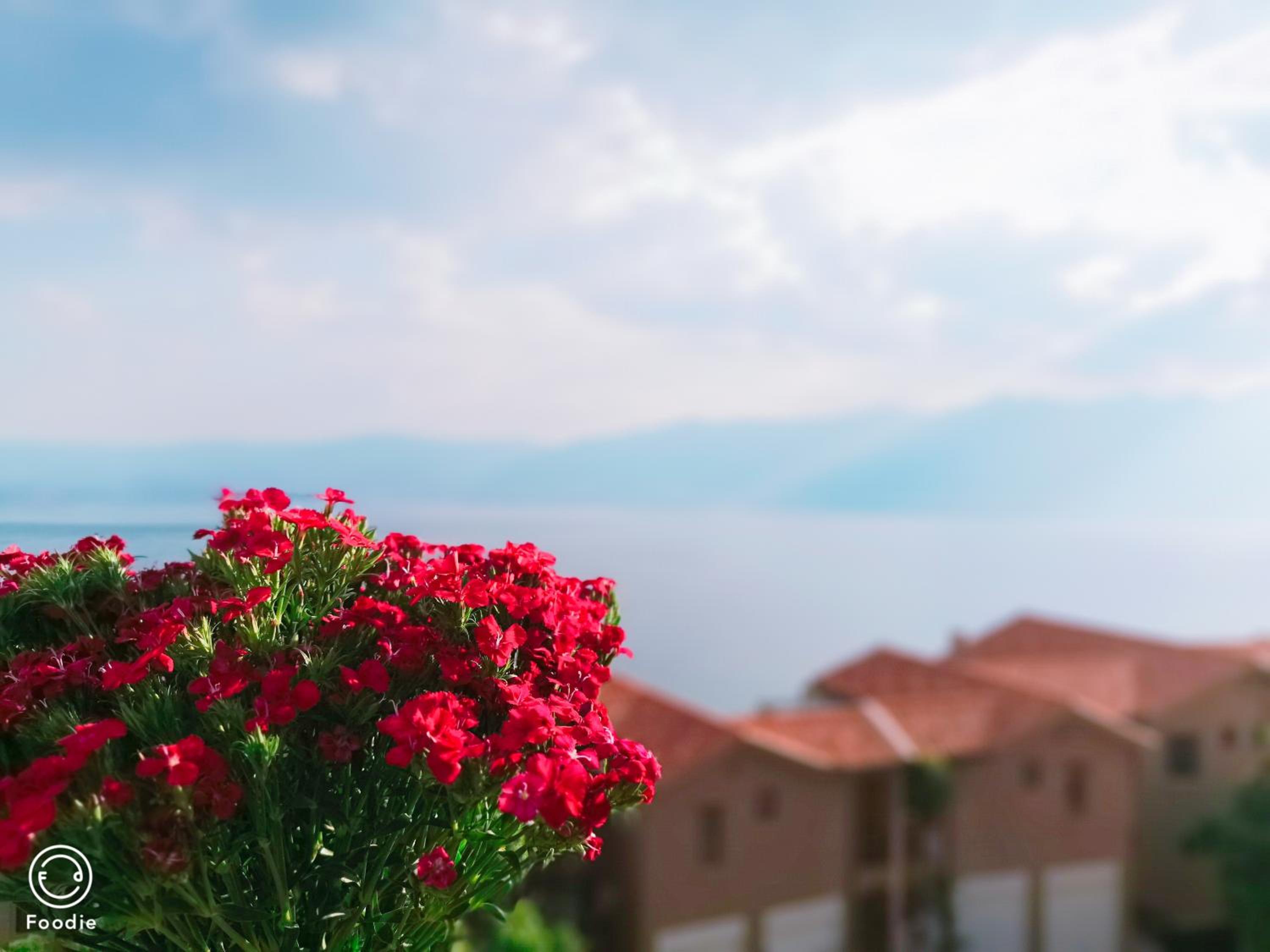 Dali lila's house Seaview Guesthouse