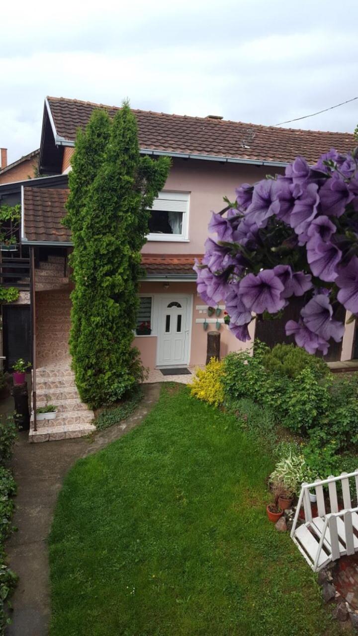 Apartmani Stojanovic view 4