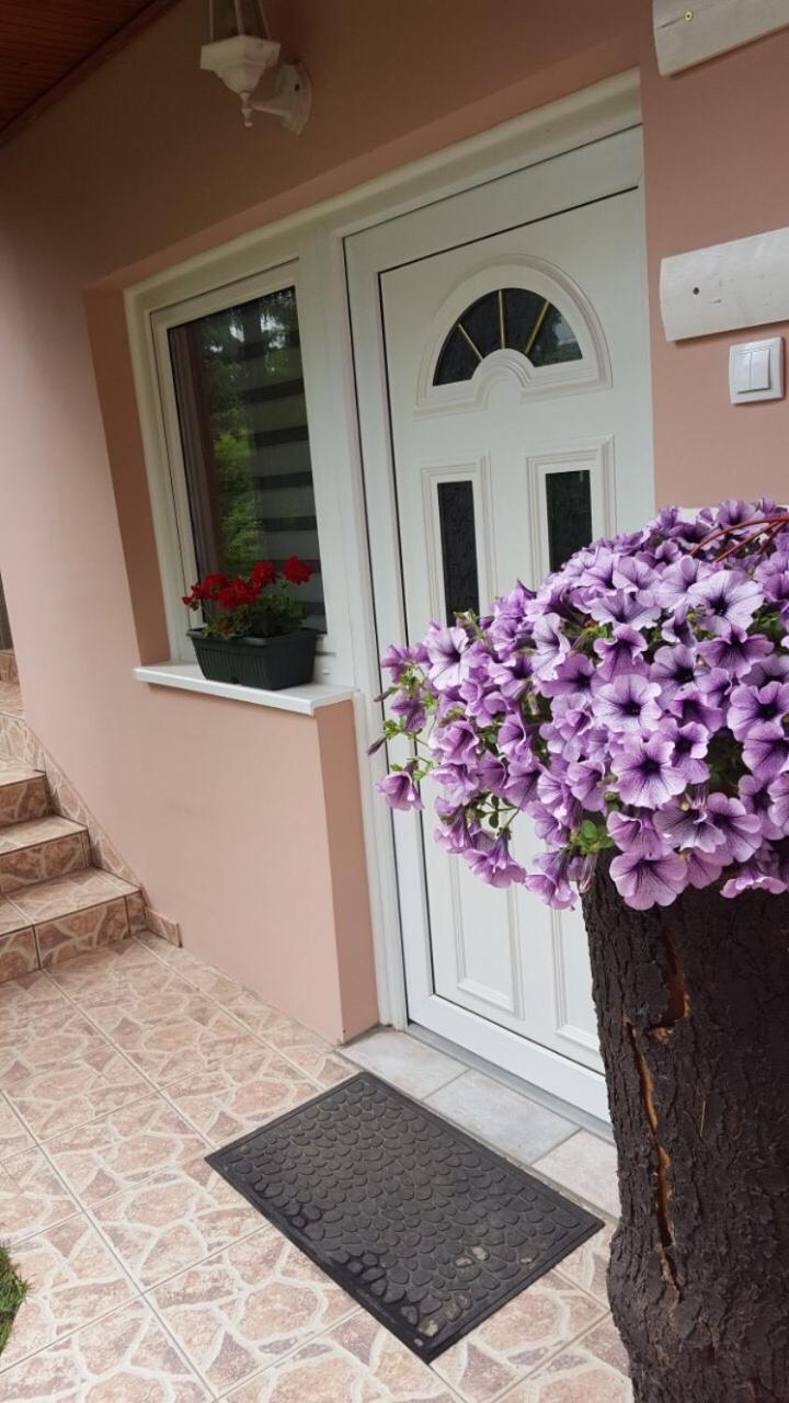 Apartmani Stojanovic view 3