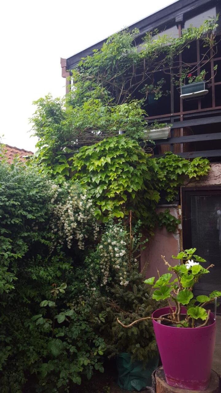 Photo 42