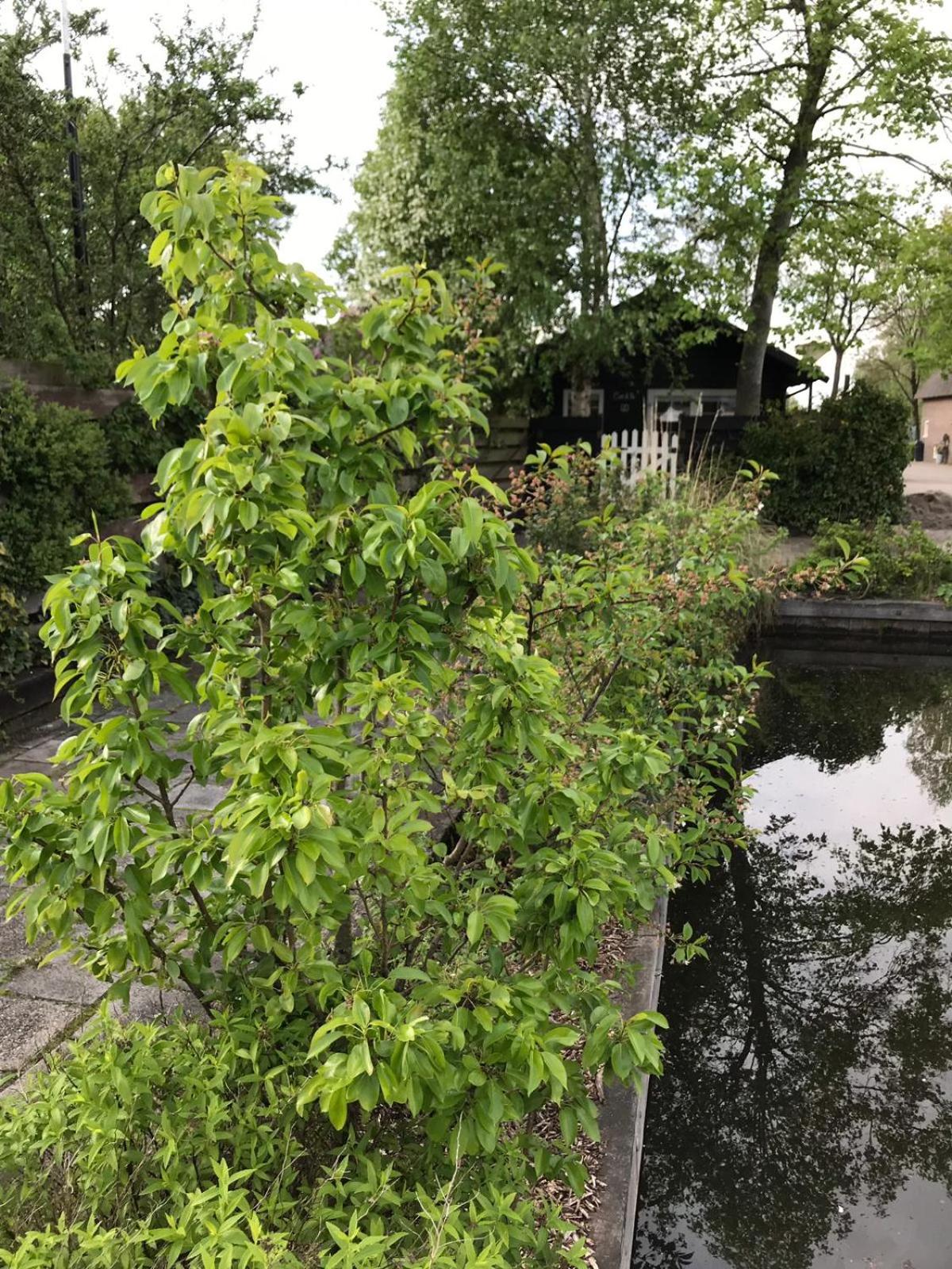 Photo 21