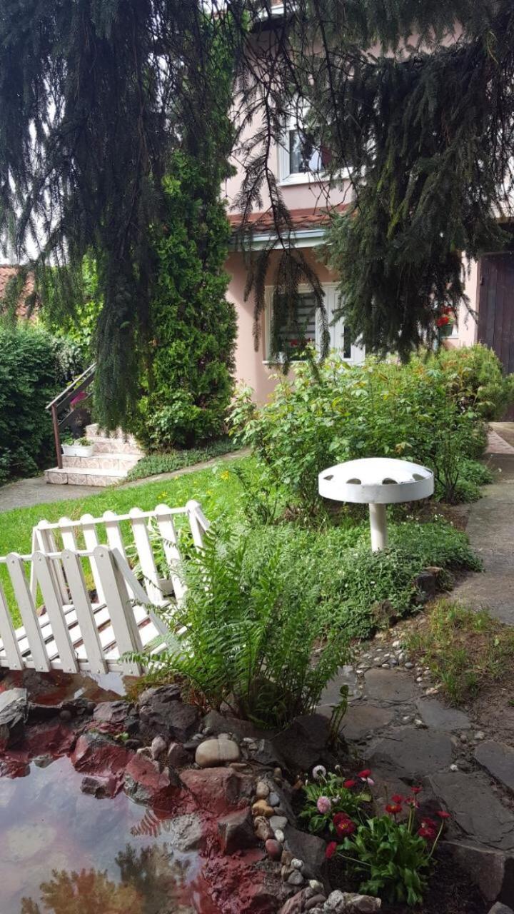 Photo 40