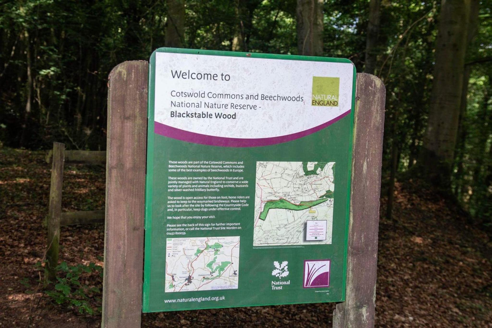 Stroud Vacations - Cherry Tree Glamping - Property Image 18