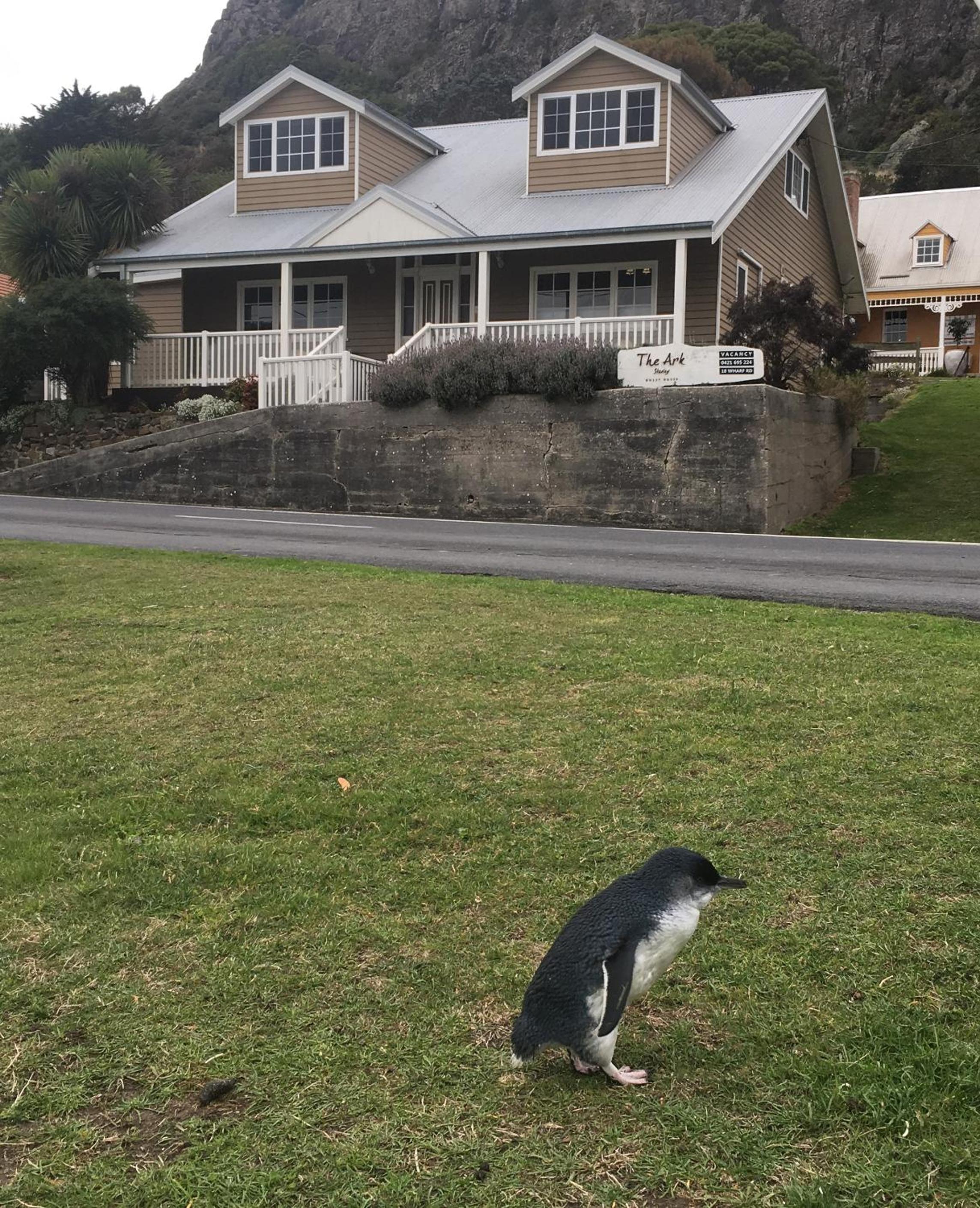 The Ark Stanley Luxury Bed and Breakfast