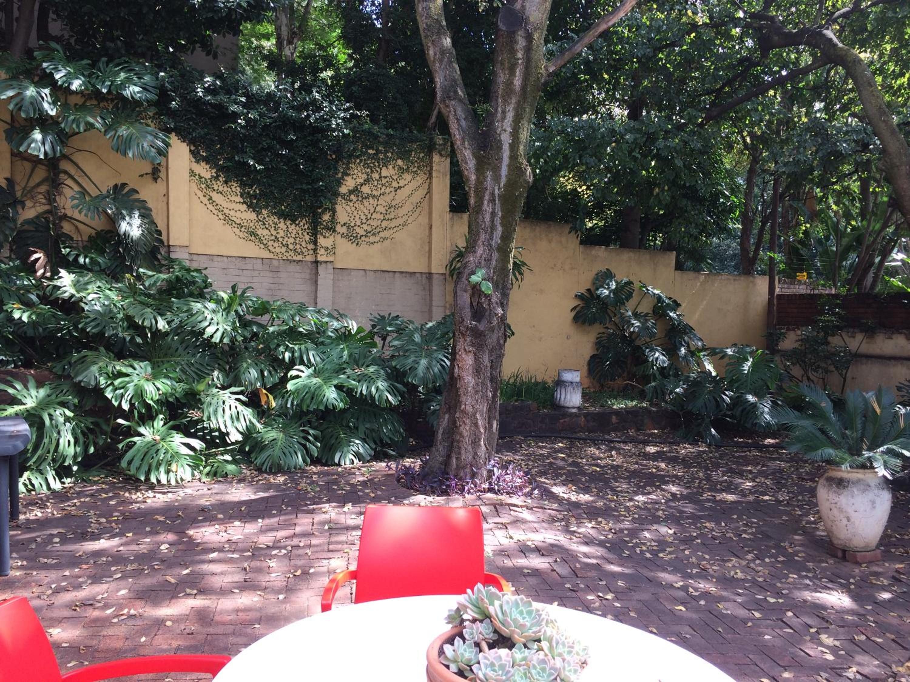 Photo 28