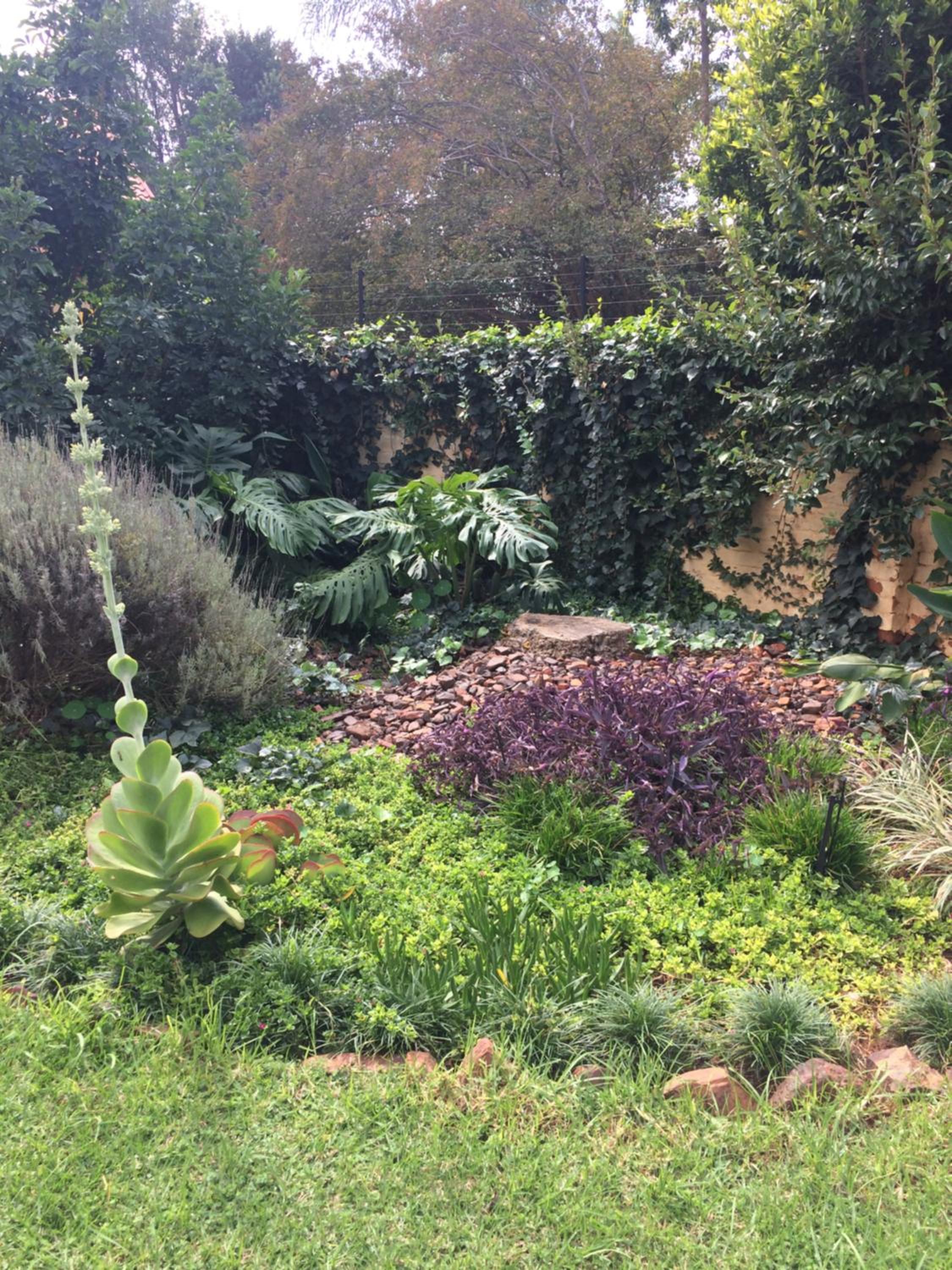 Photo 27