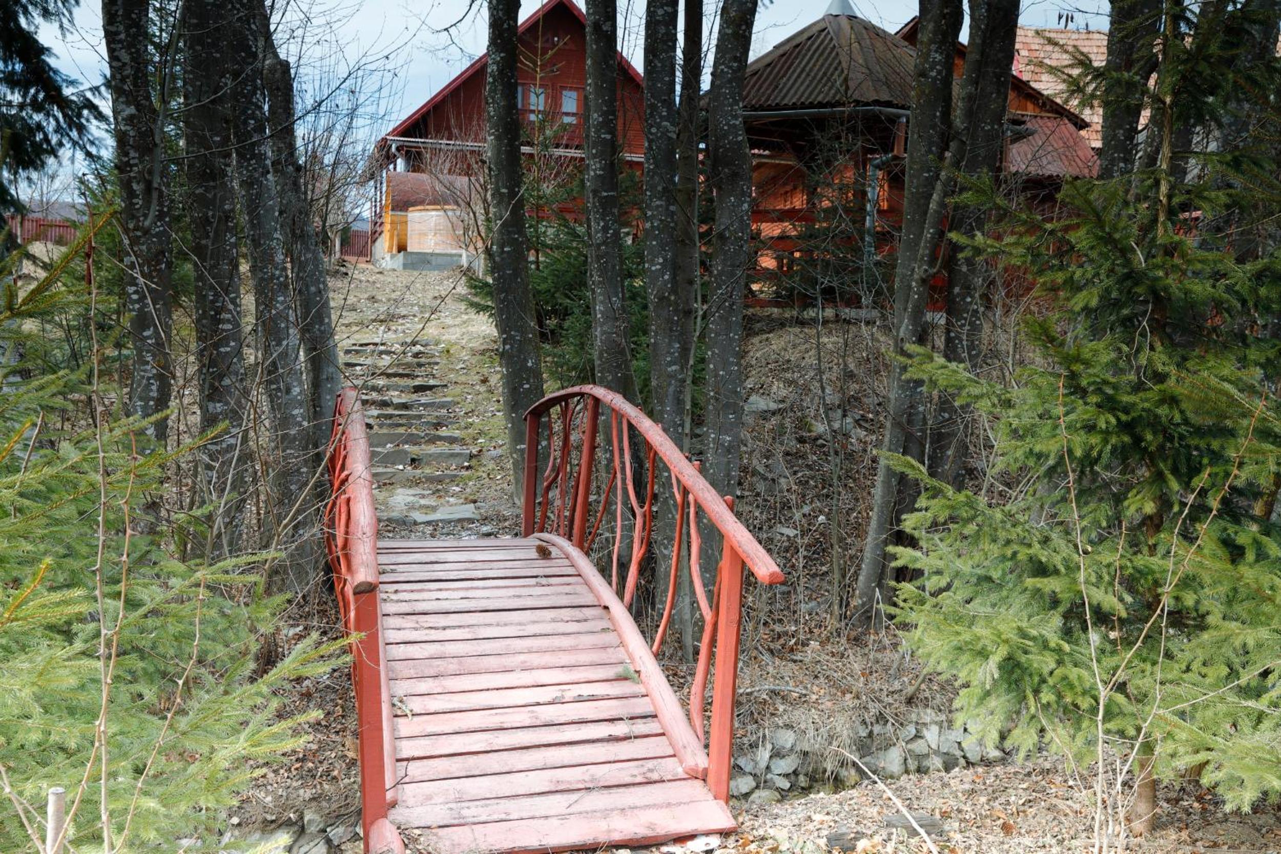 Photo 22