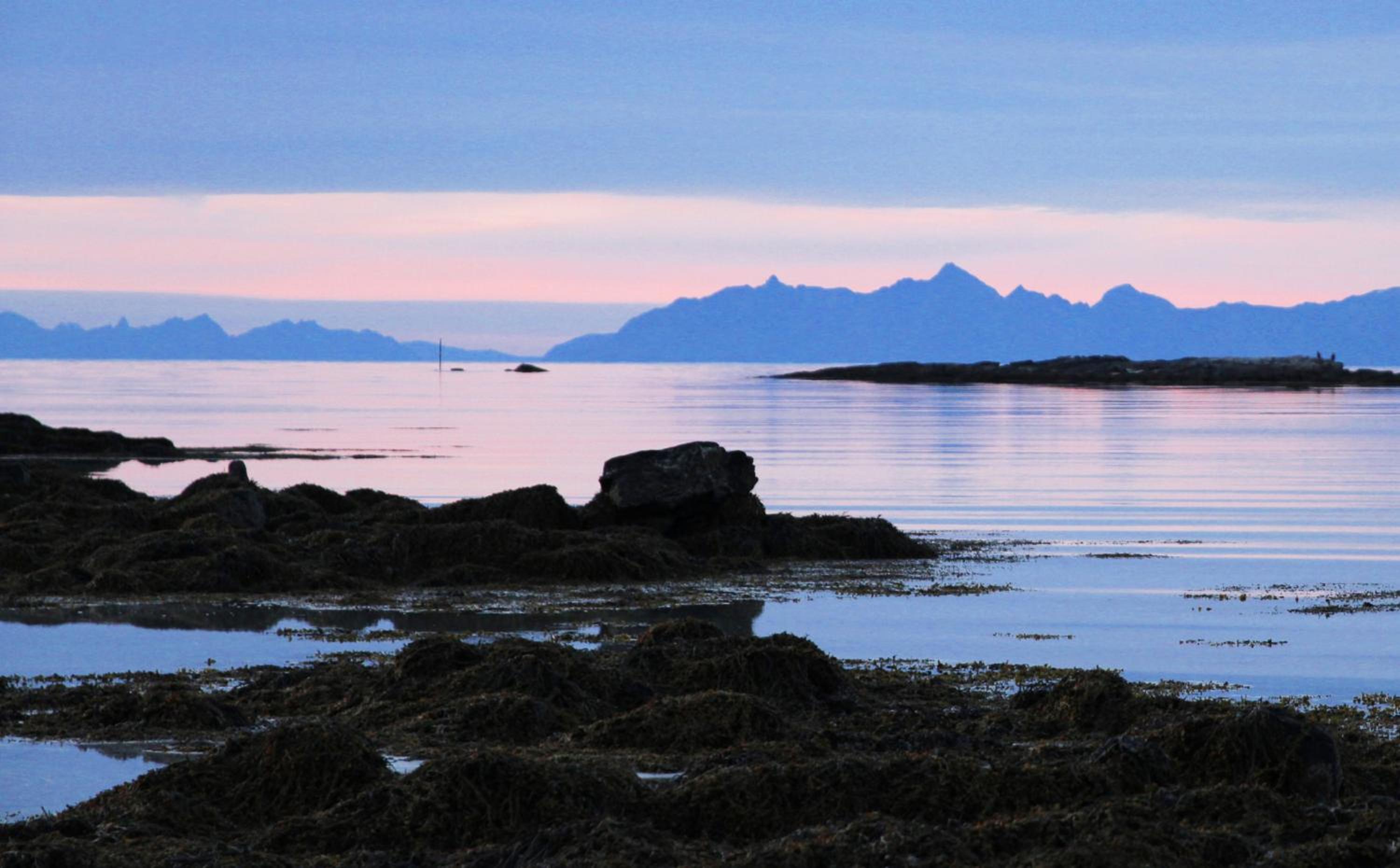 Villa Lofoten - The Farmhouse view 3