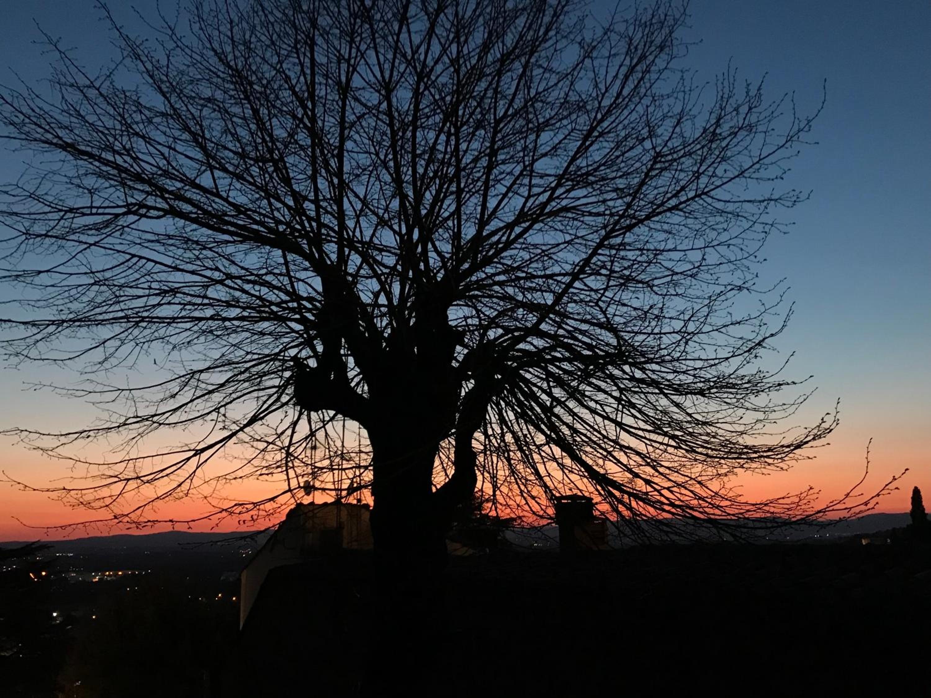 Camera e Appartamento Toscana - B&B Palazzo Robicci