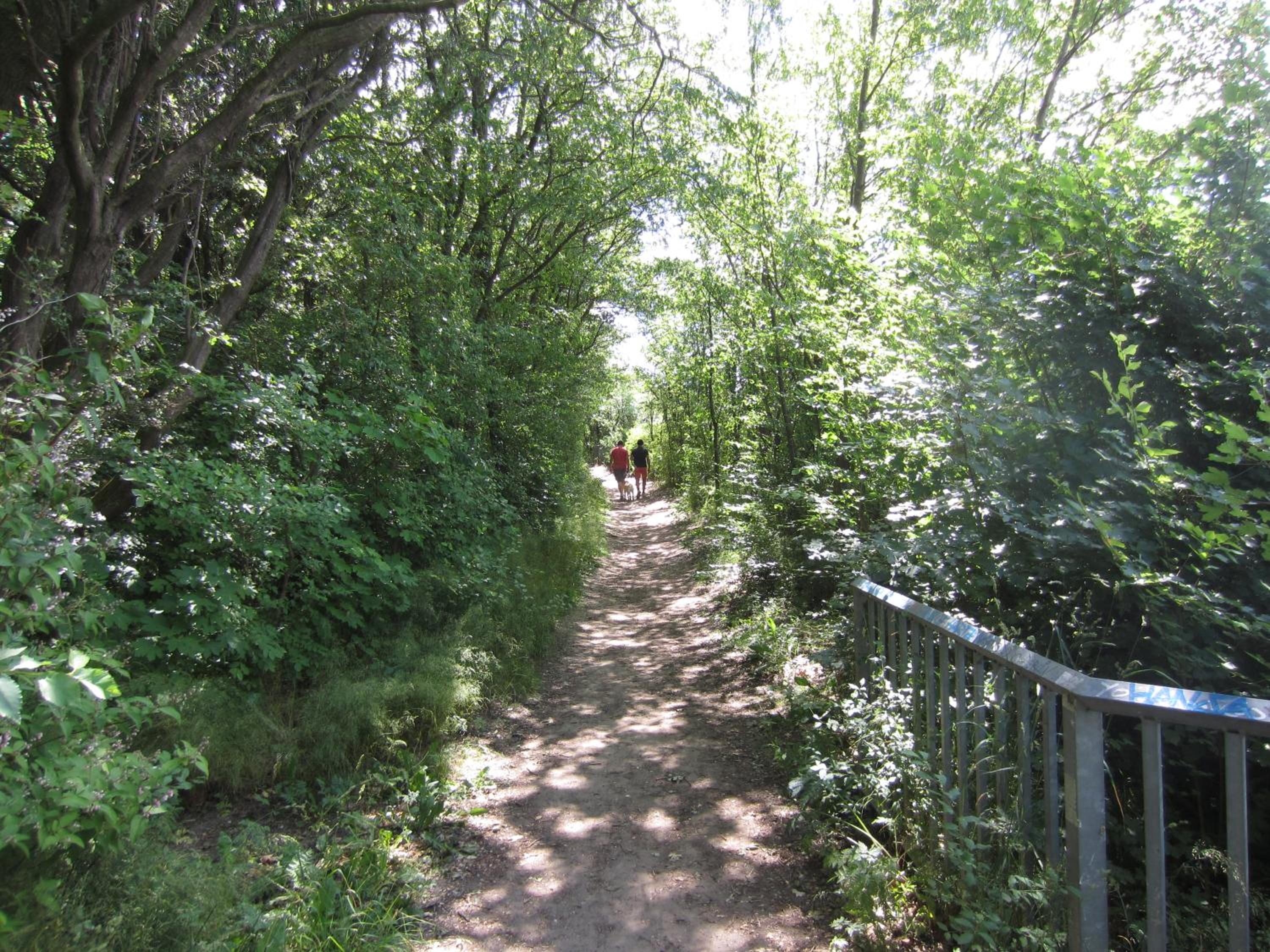 Photo 13