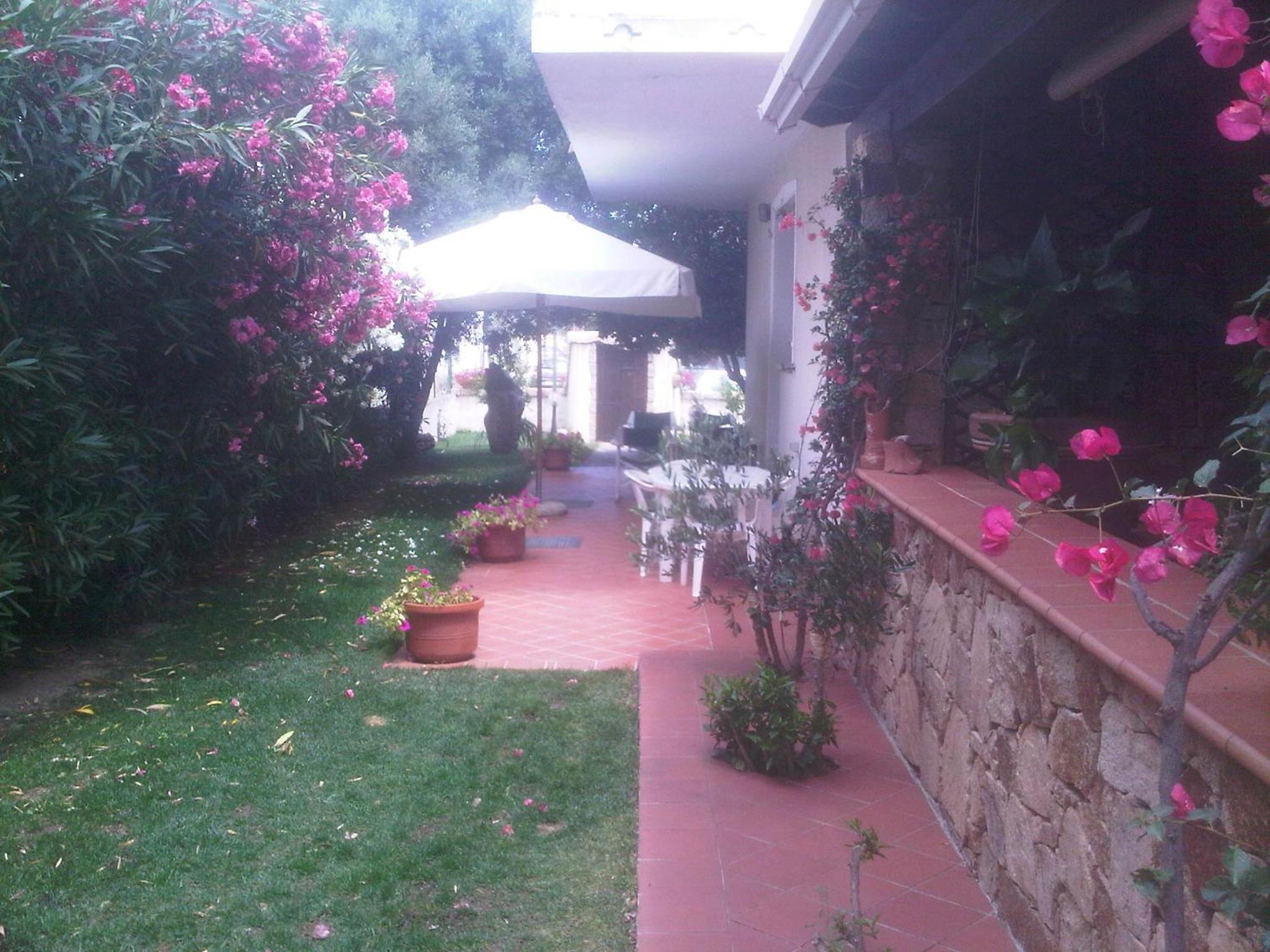 Photo 33