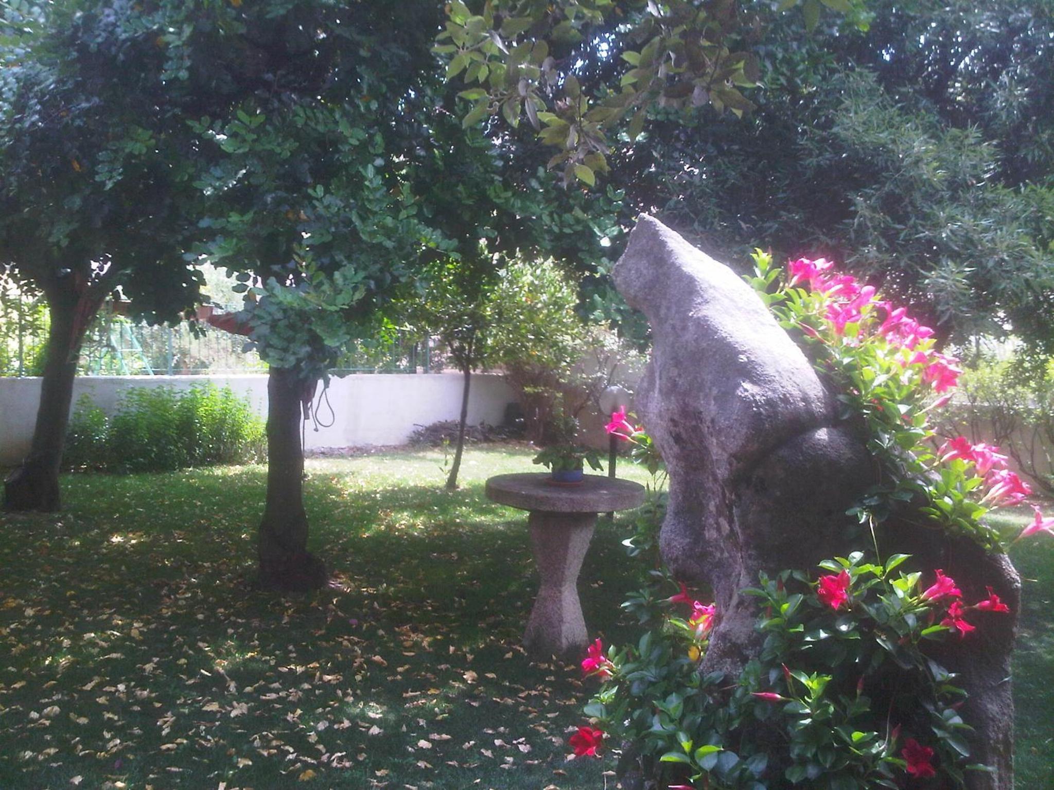 Photo 35