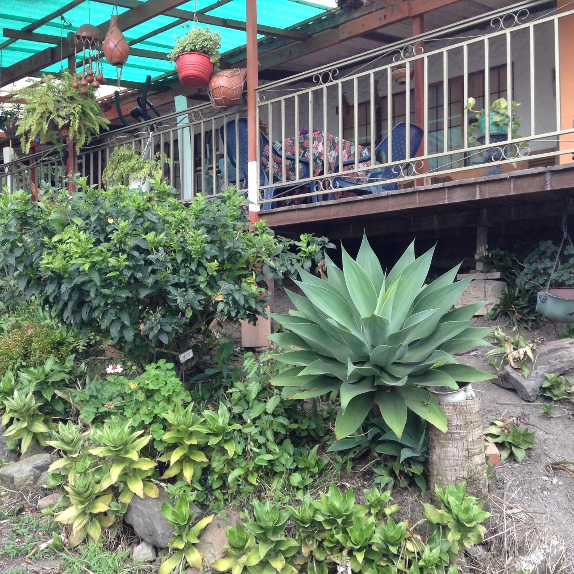 El Girasol alojamiento rural