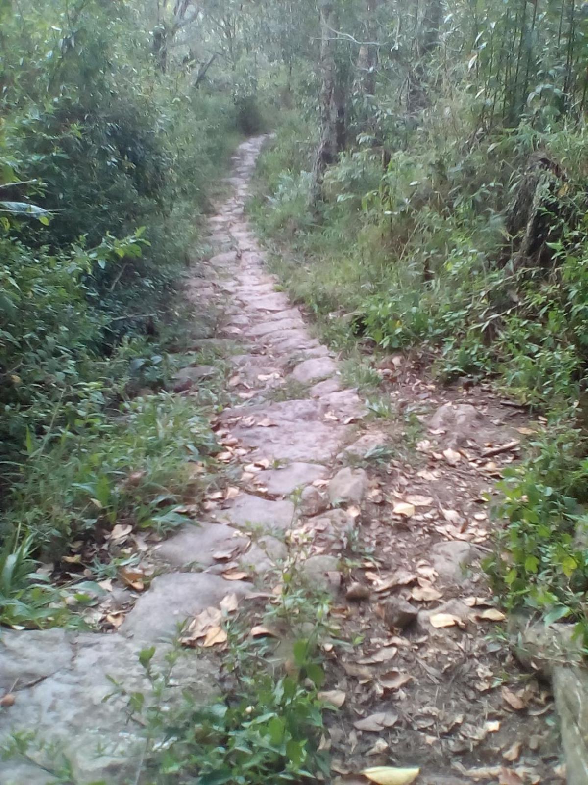 El Girasol alojamiento rural