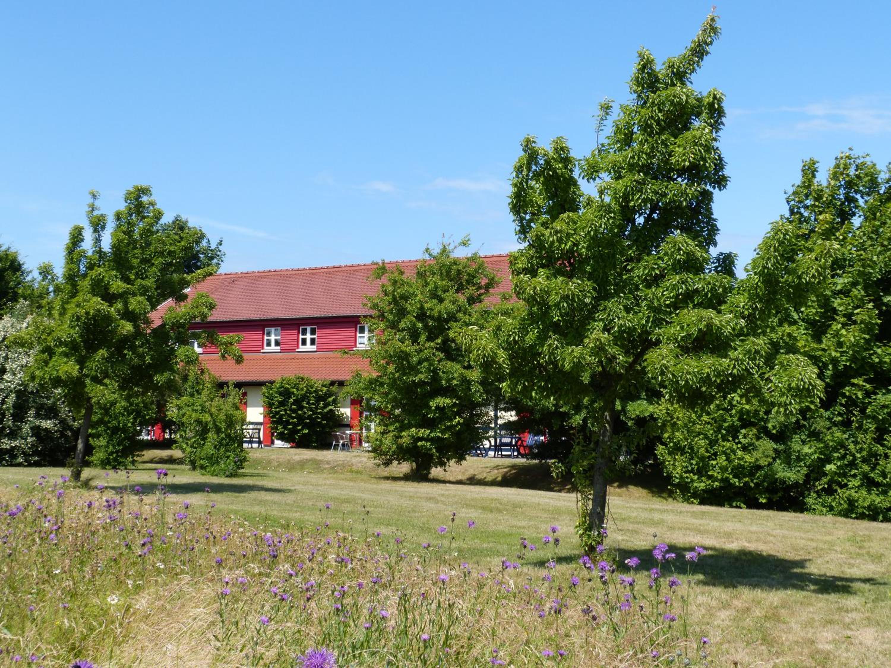 Photo 14