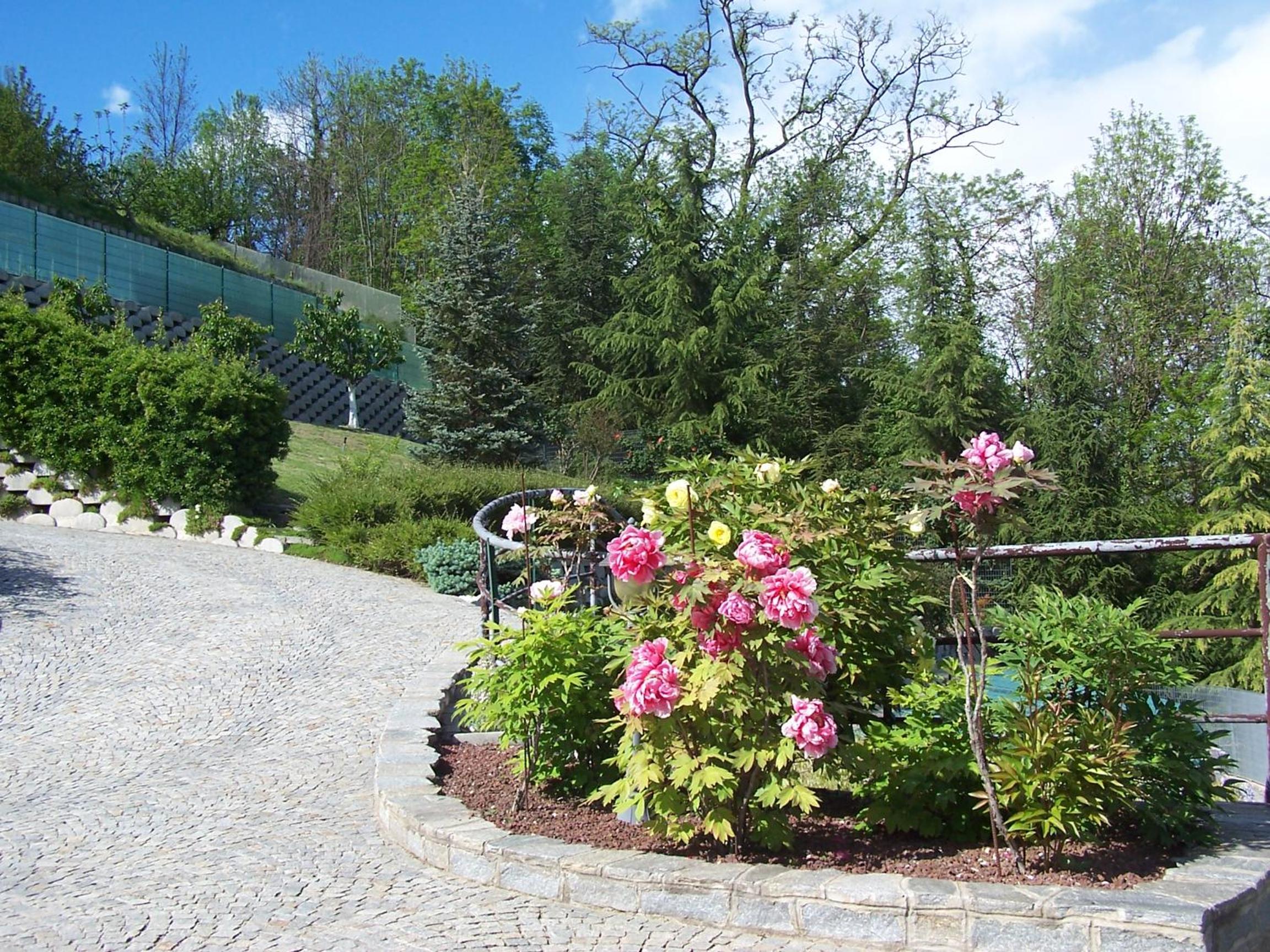 Photo 14