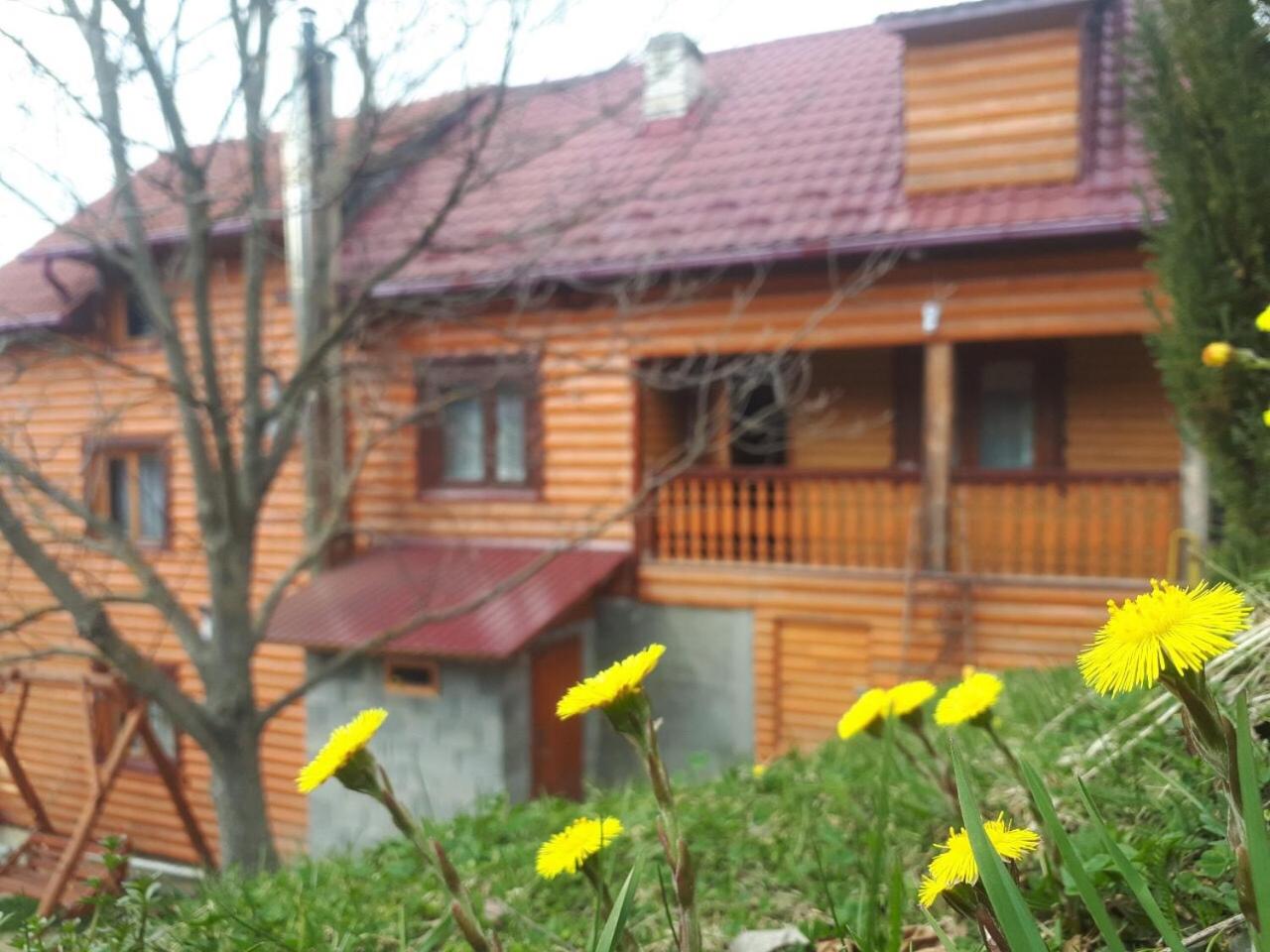 Photo 45