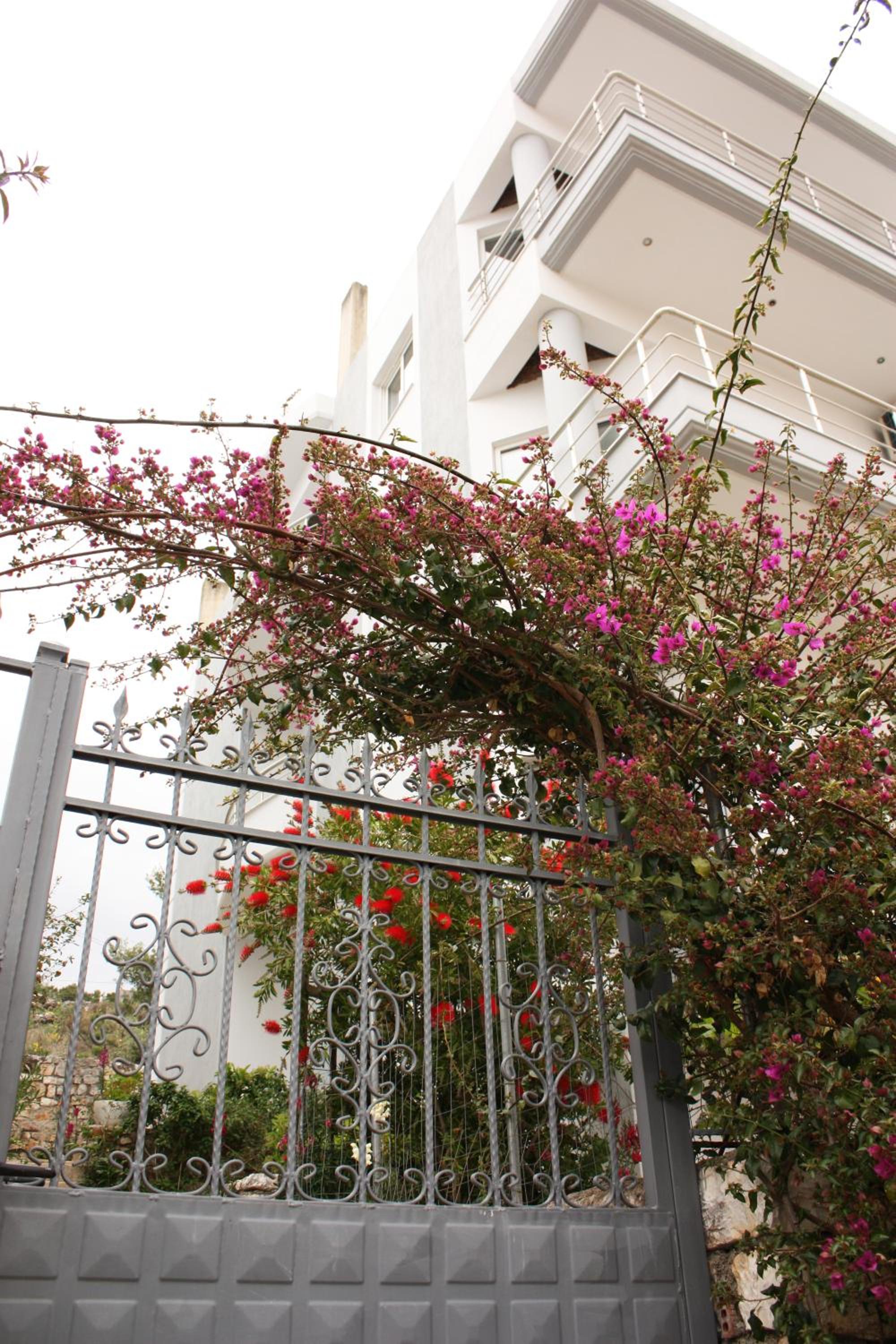 Alexandra´s Apartments