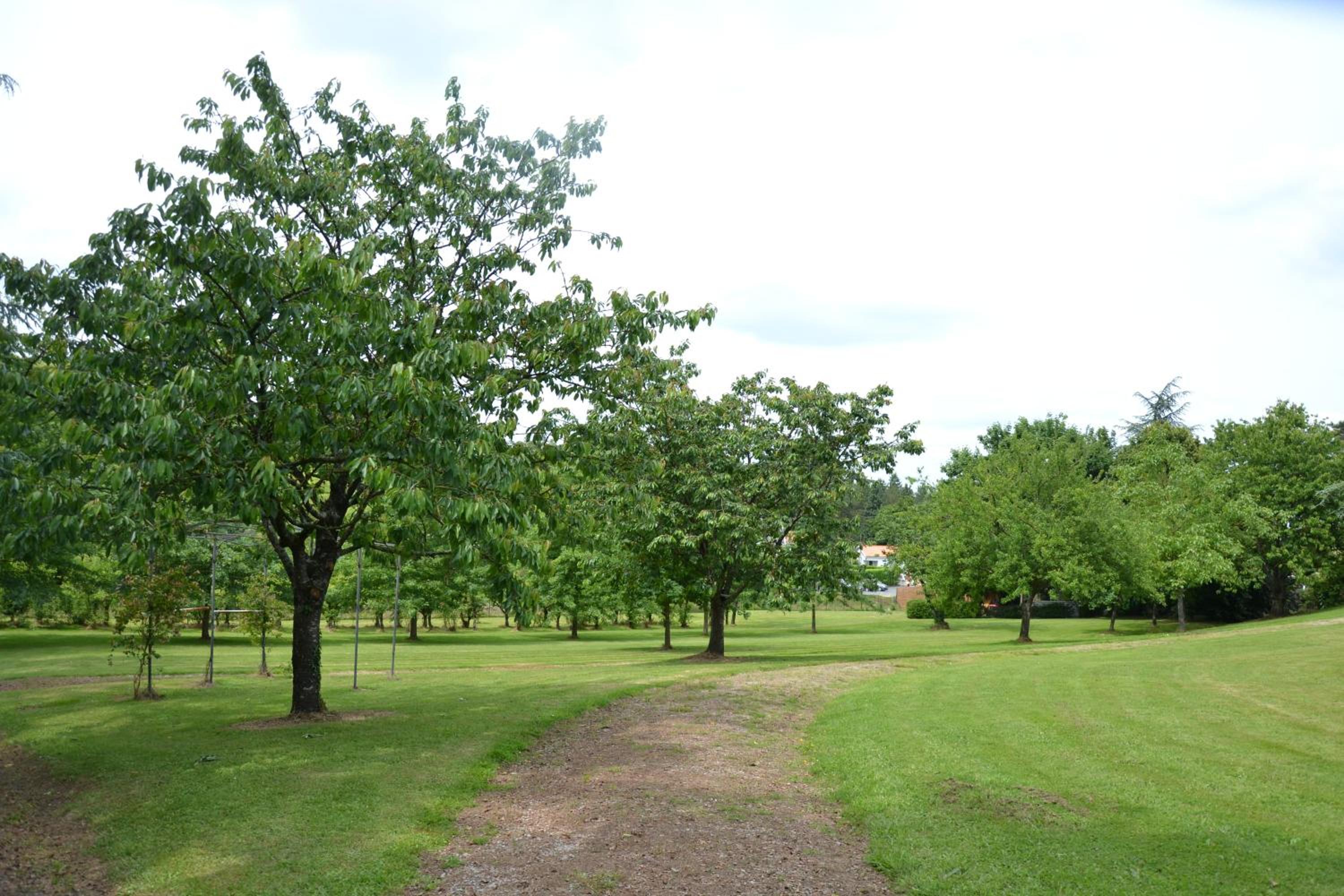 children's play area